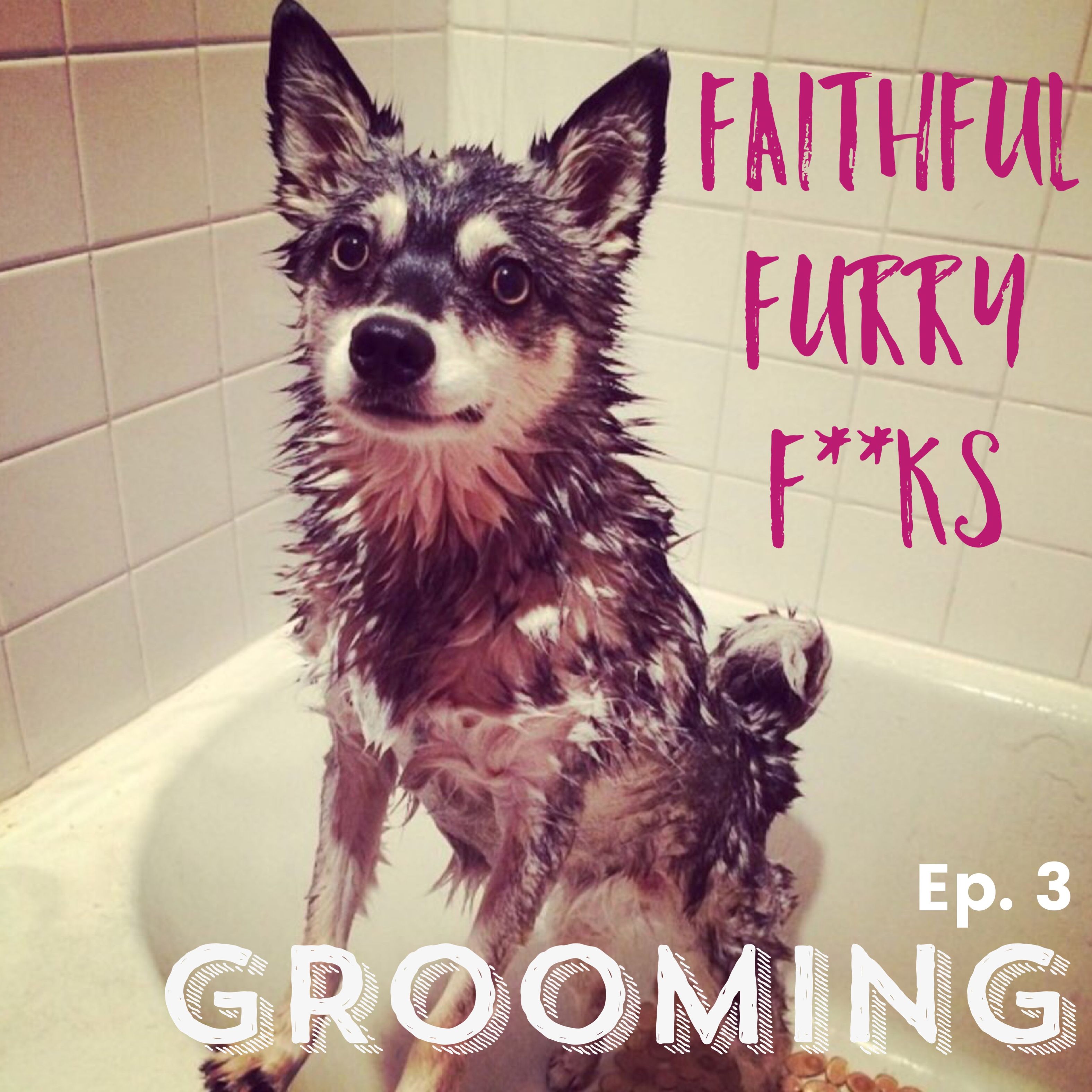 Ep. 3: Don't Lick Strange Dogs
