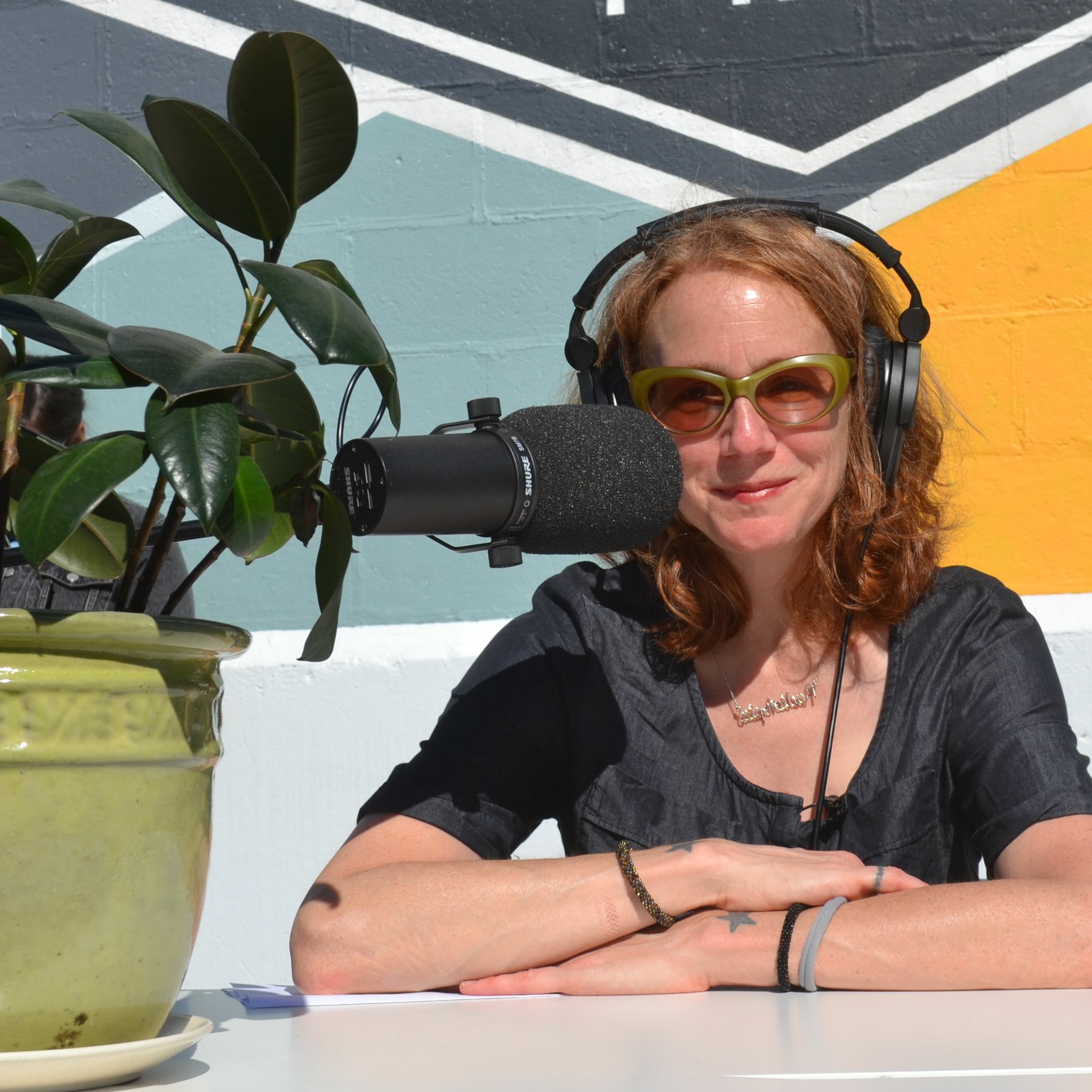 Ep 11: Julie Shapiro on Podcasting