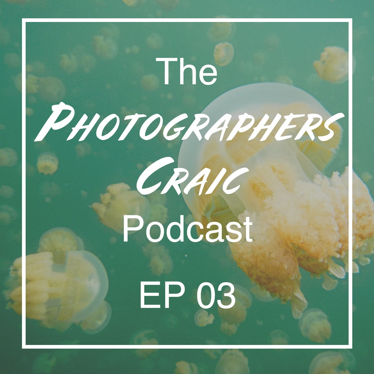 EP 03: Alyce Bender: Living in North Japan, planing too travel North America & Jellyfish EP 03: Alyce Bender: Living in North Japan, planing too travel North America & Jellyfish
