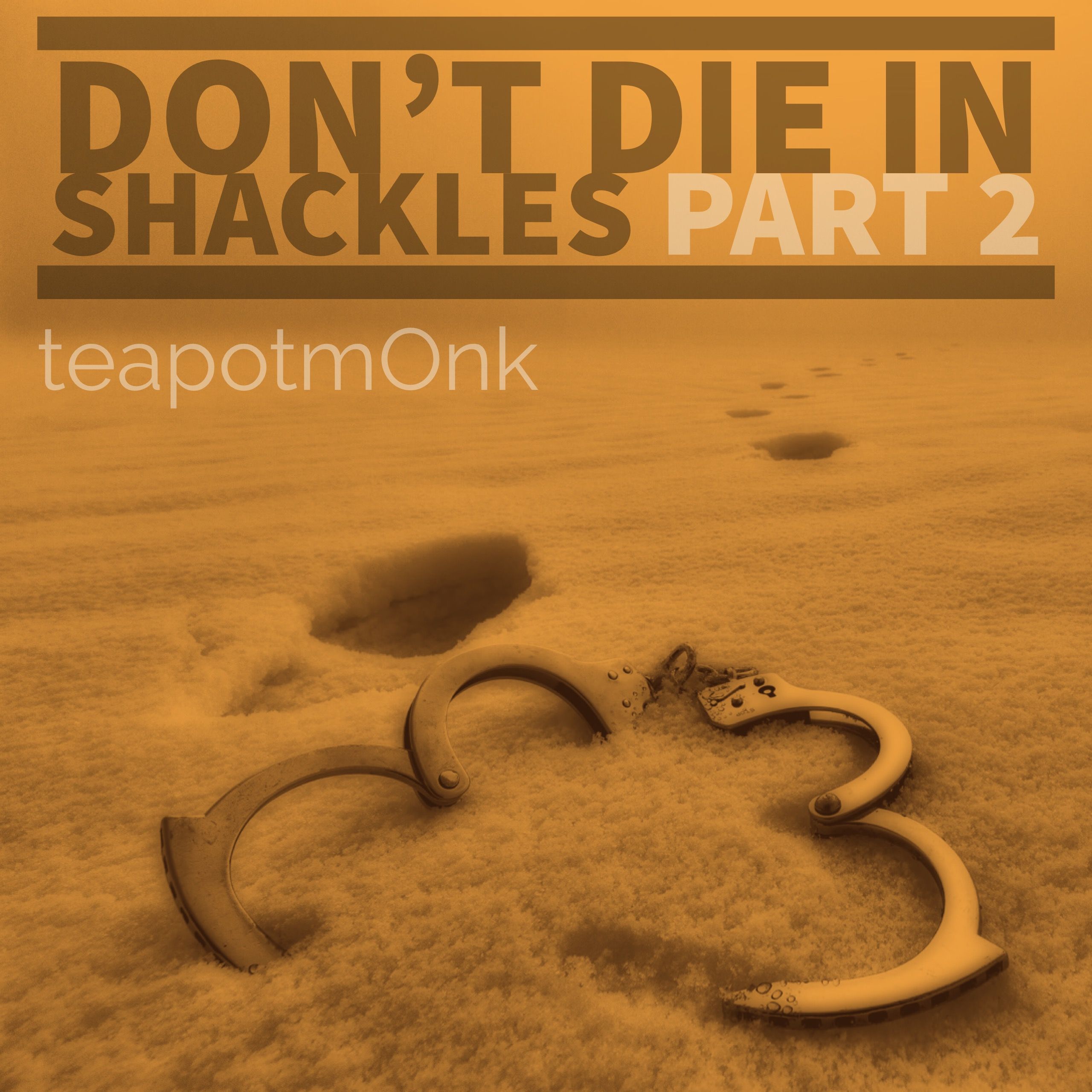 Don't Die in Shackles: Part 2
