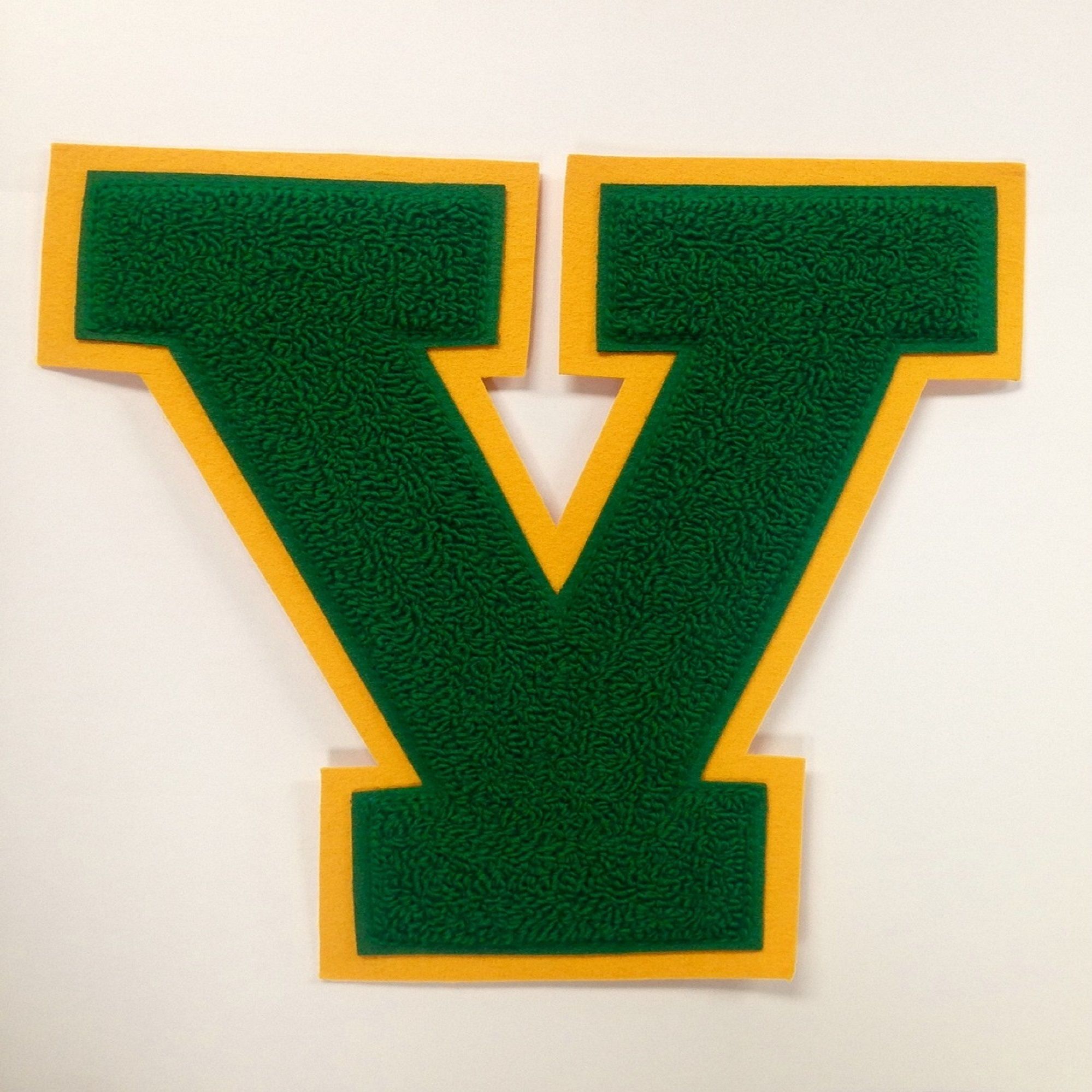 Vestal High School Marching Band - 51018, 2.49 PM