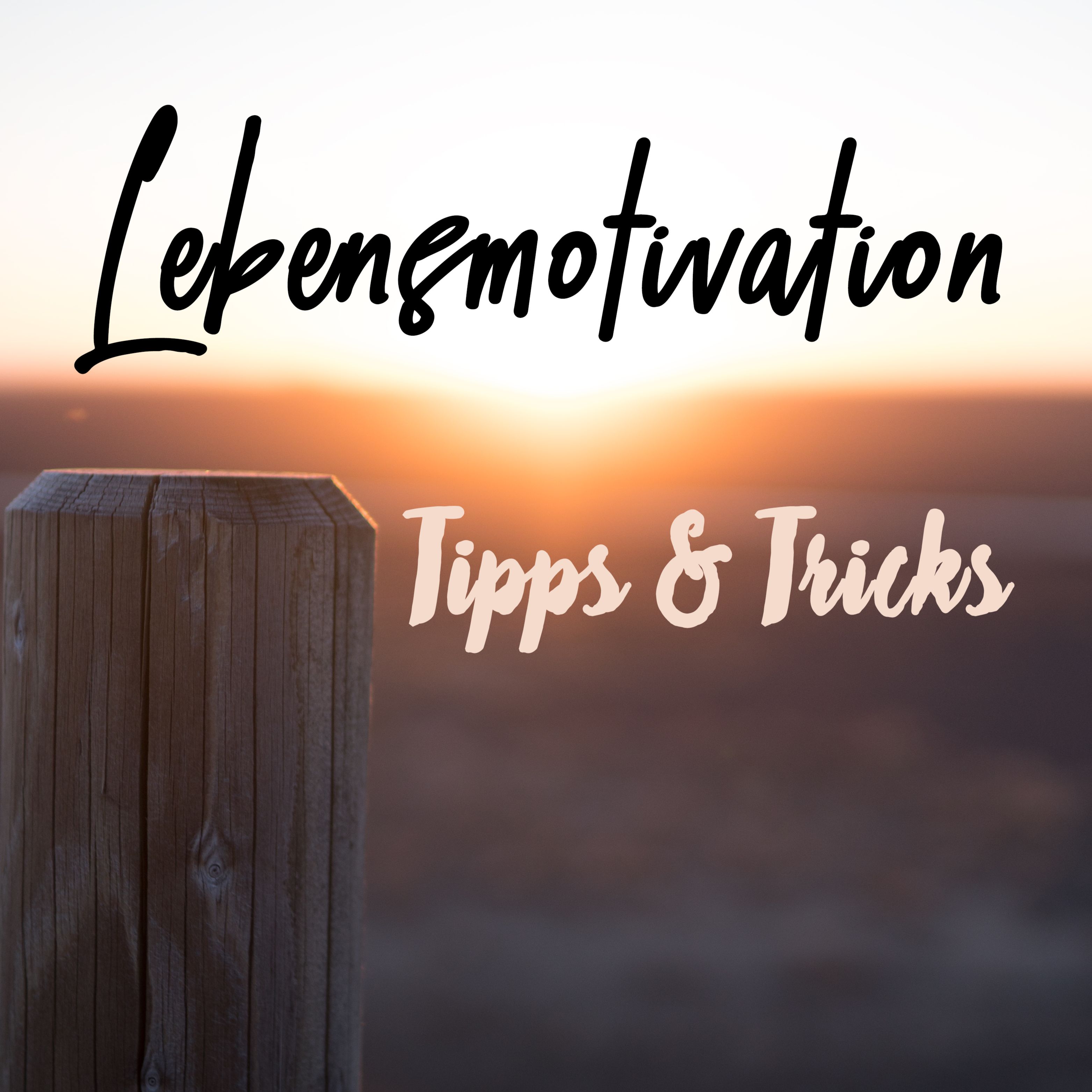 Lebensmotivation Tipps & Tricks Von Uns #1