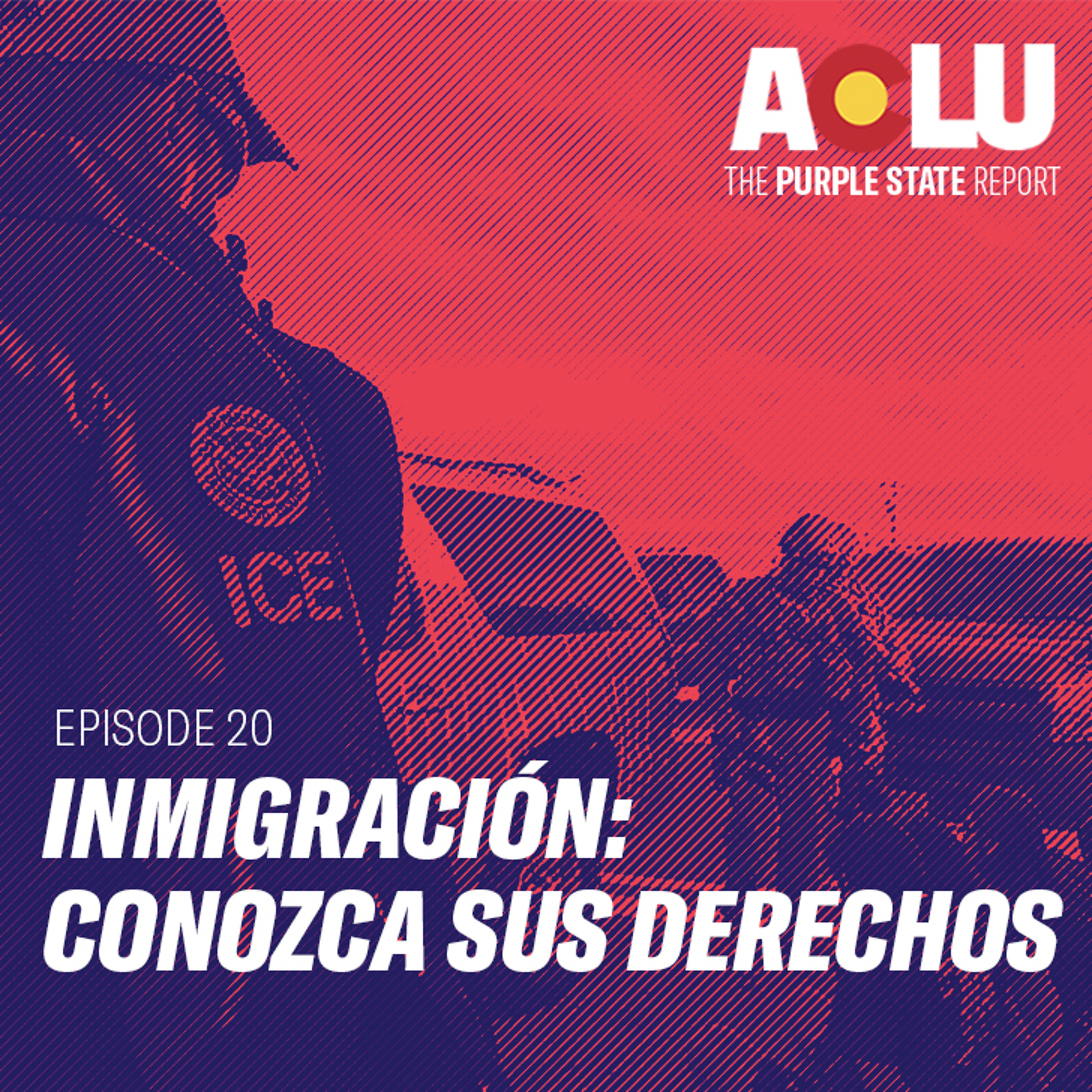 The Purple State Report