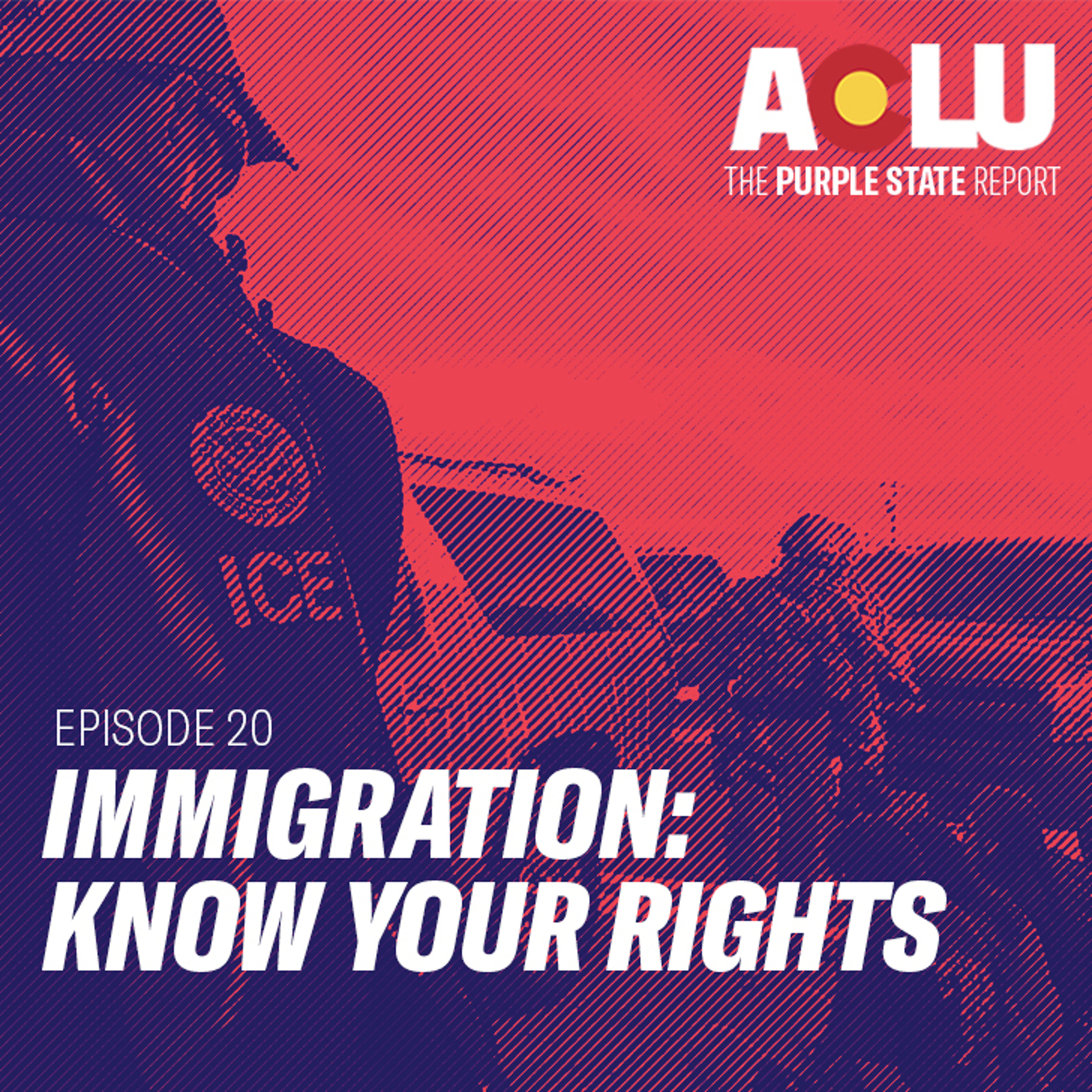 The Purple State Report