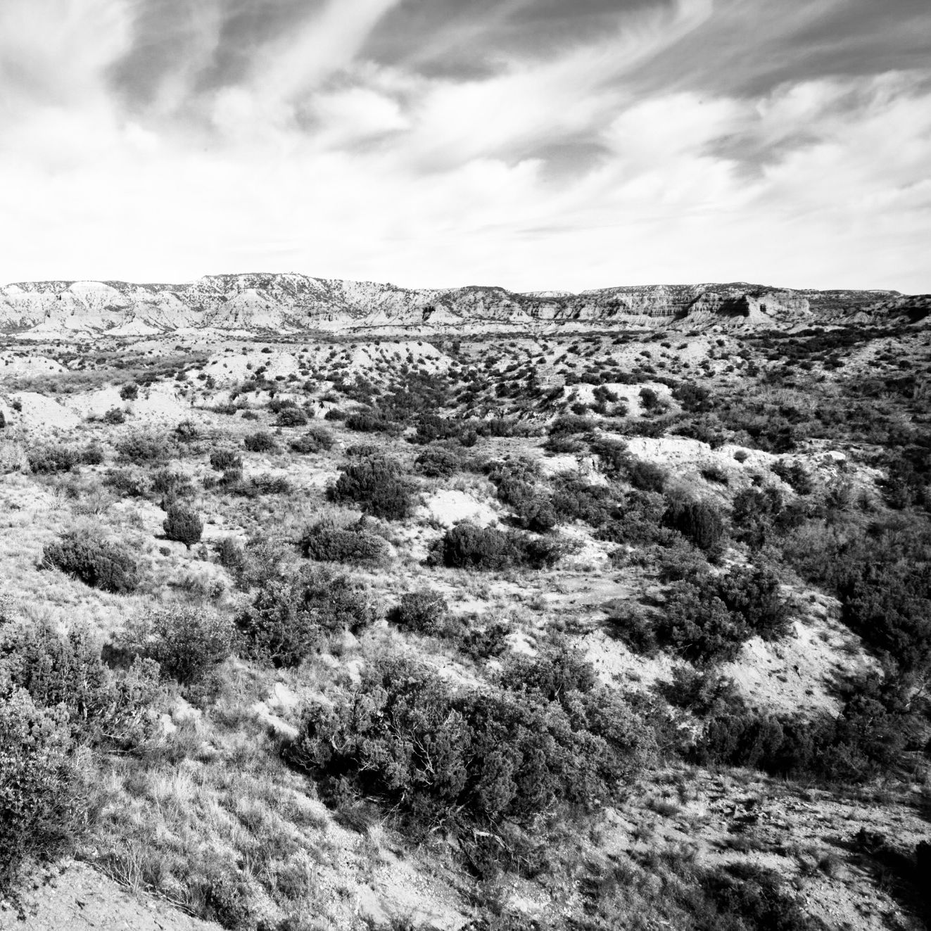 Other Side of Texas