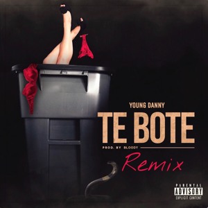 Te Bote (Remix) להורדה