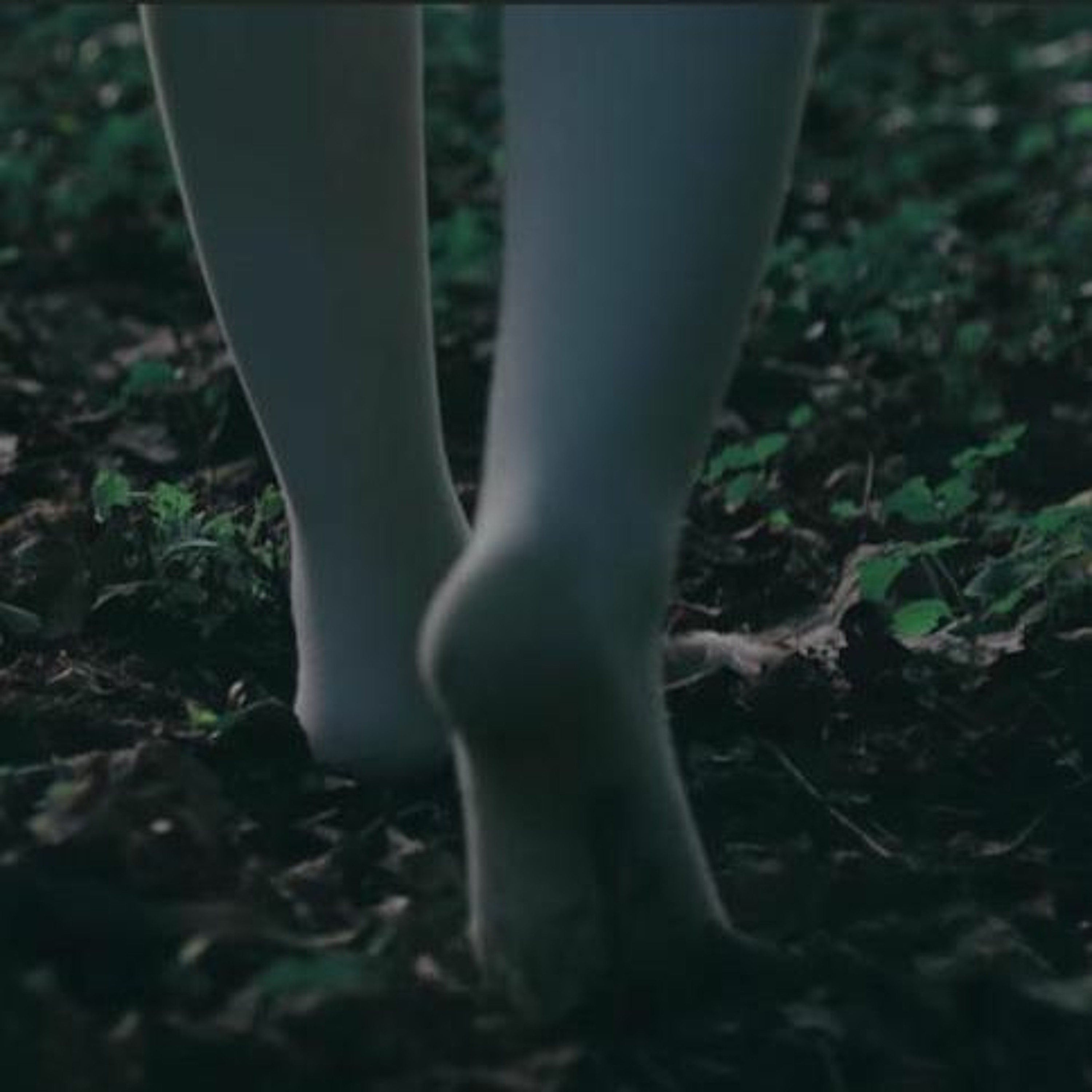 Episode 4: Animal Theory / yyxy Speculation