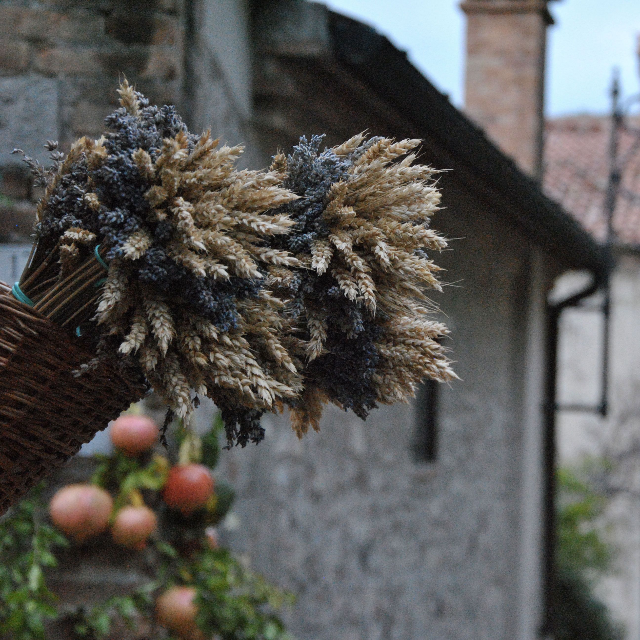 Colli E Terme Euganee In Veneto - Radio Fantastica RMB