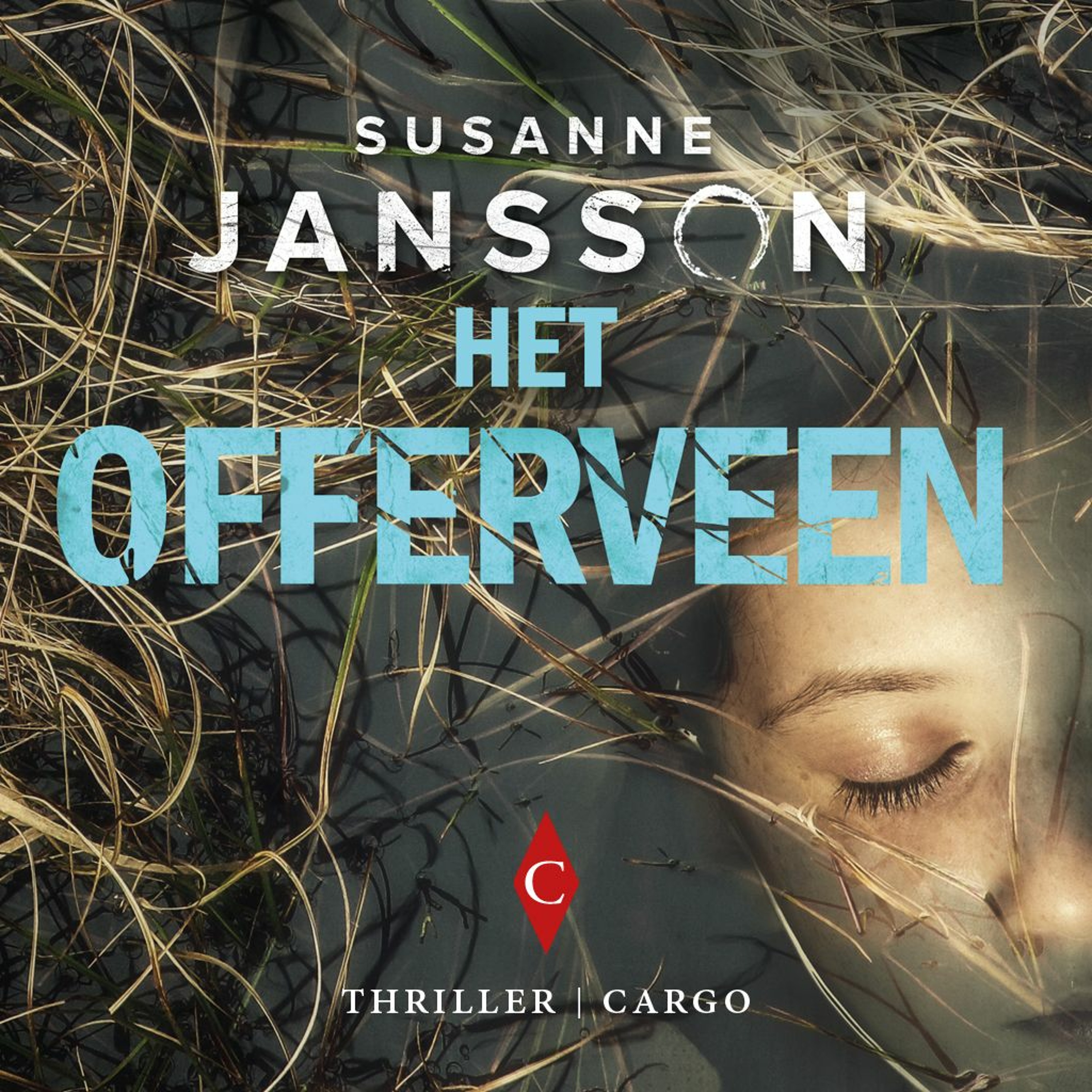 Jeroen Olyslaegers - WIL