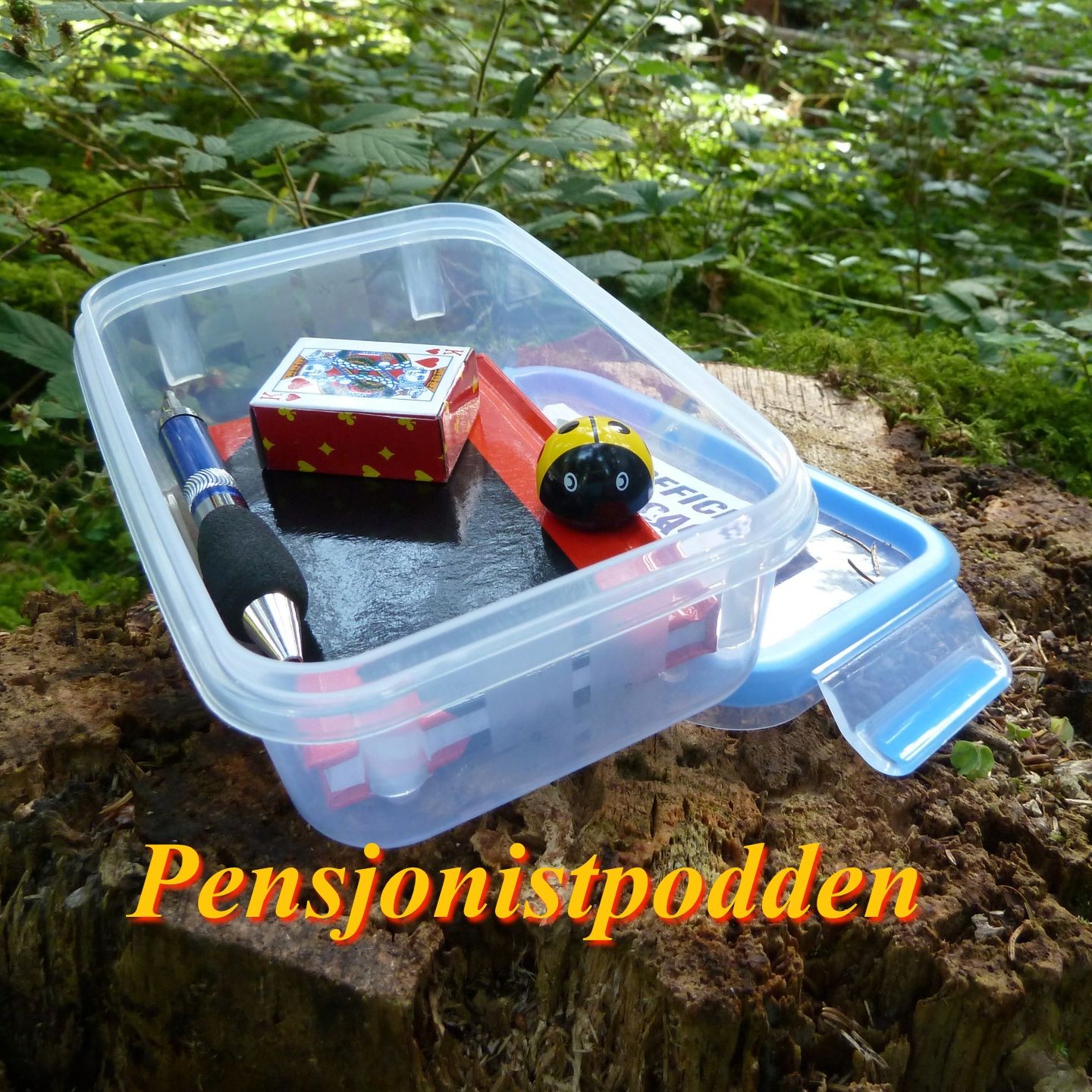 #13: Pensjonistpodden - Skattejakt for pensjonister