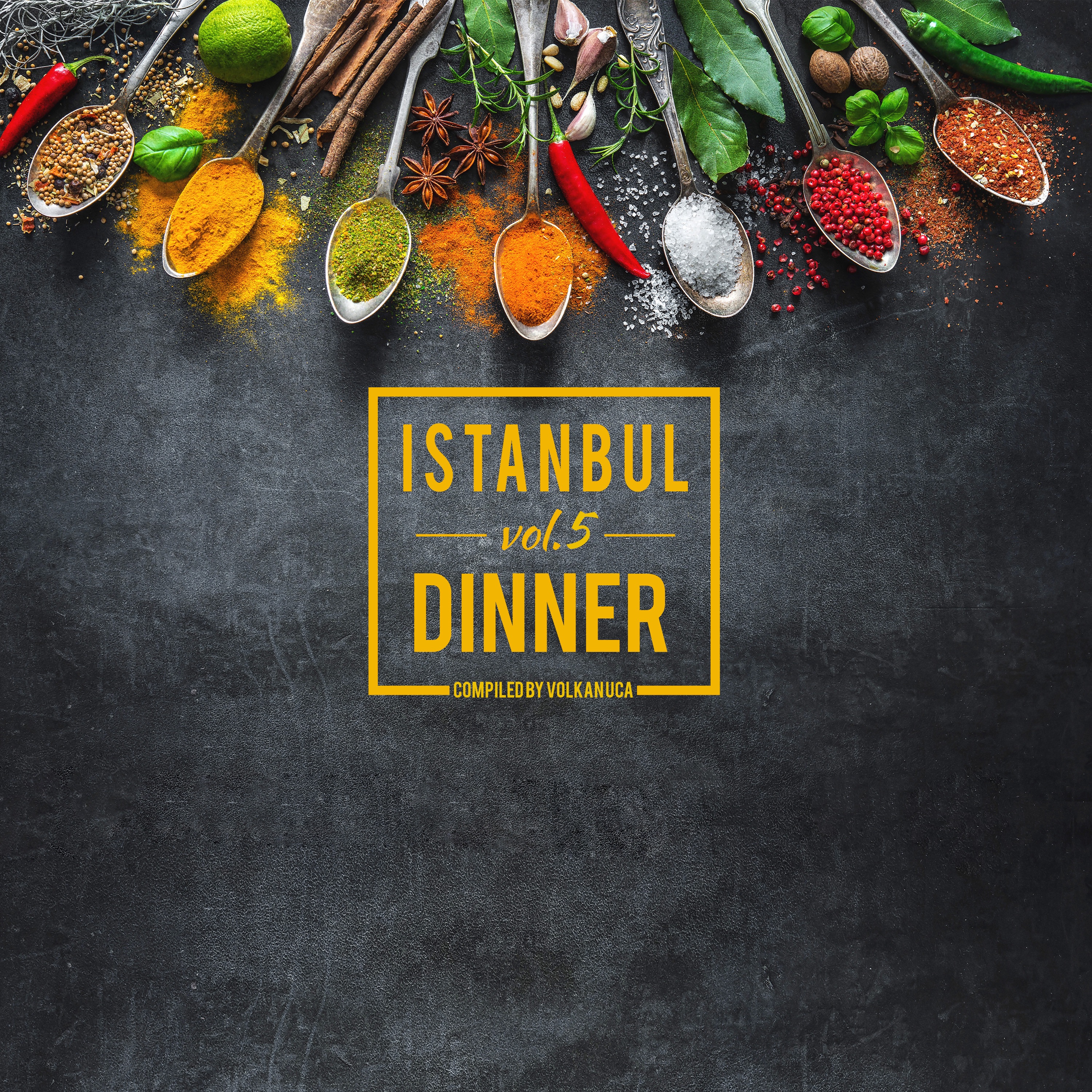 İstanbul Dinner Vol. 5 by Volkan Uca ( Out Now )