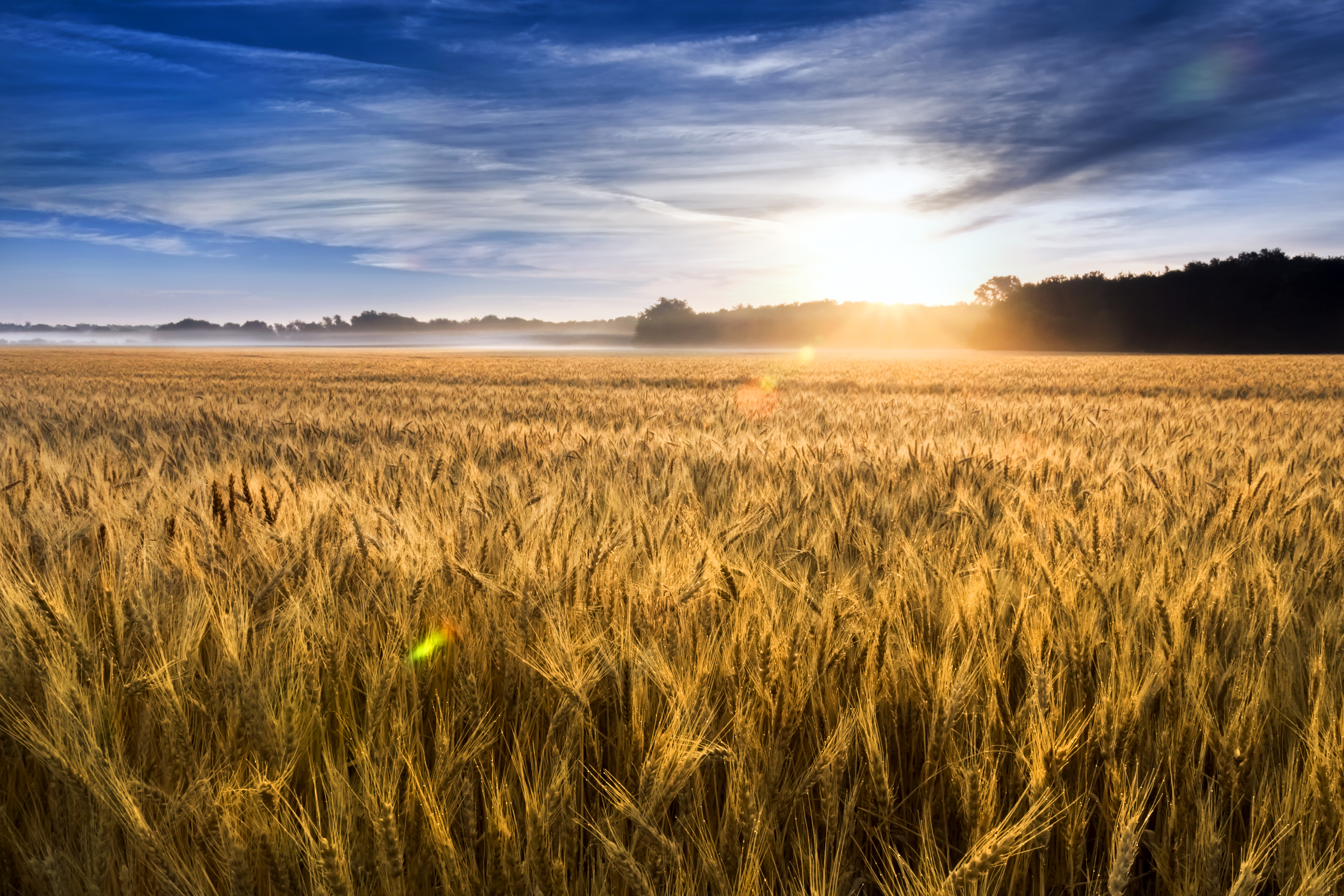 Agri Commodities Monthly May 2018: Tread (the Volatility) Carefully