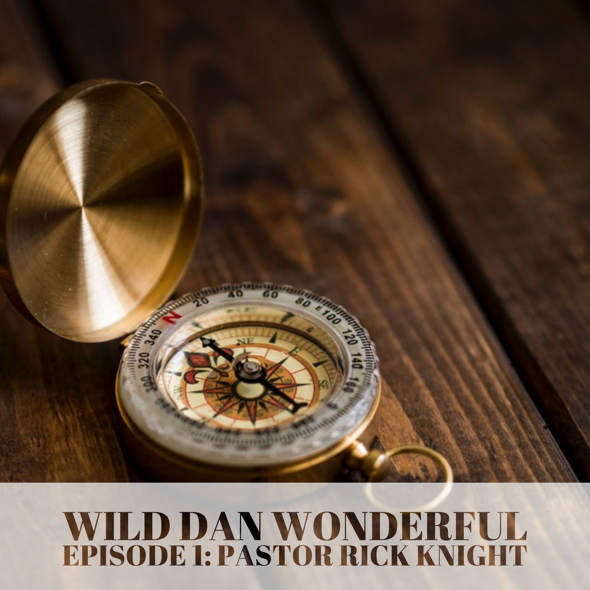 Wilddanwonderful #1