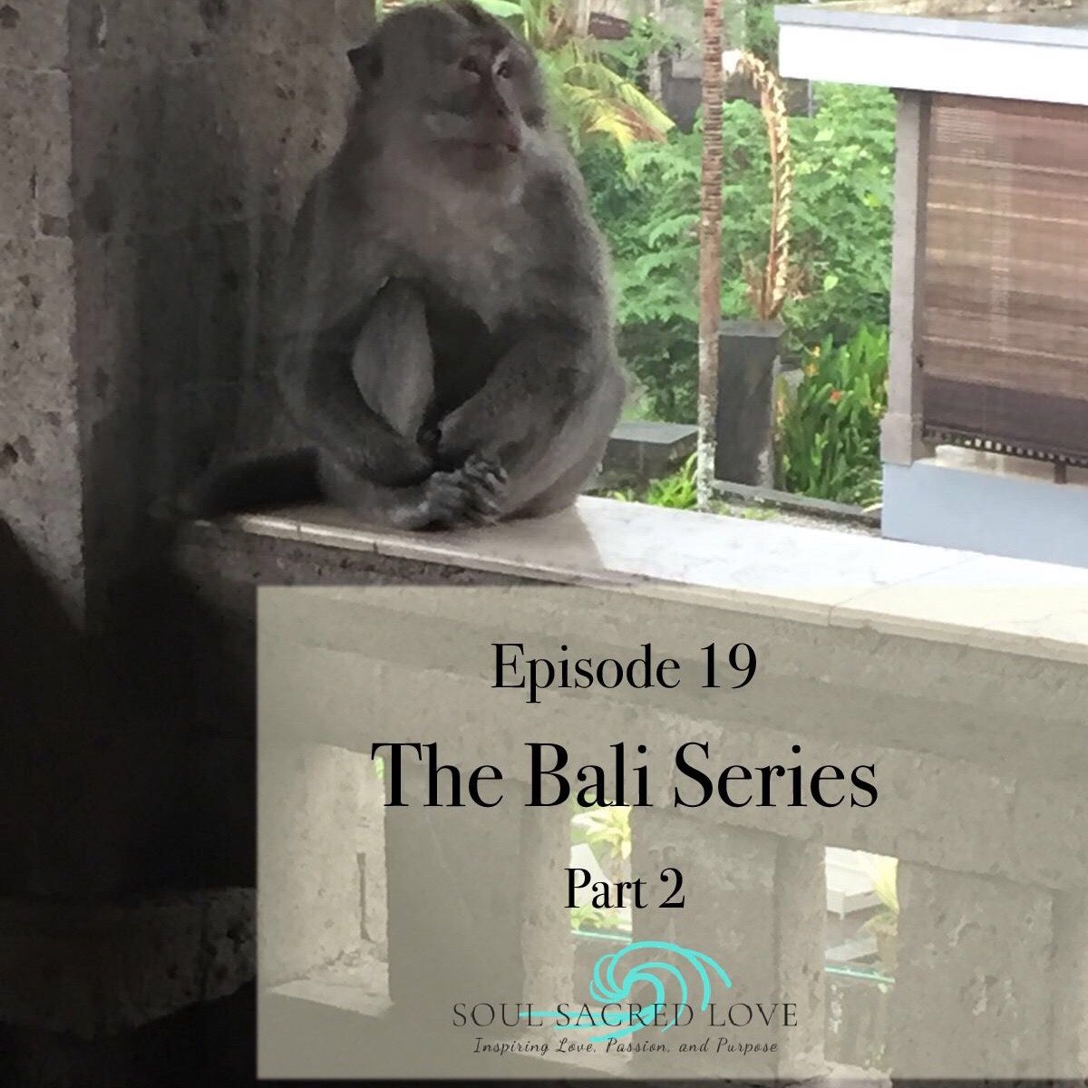 Ep 19 - The Bali Series - Part 2 Monkeying Around