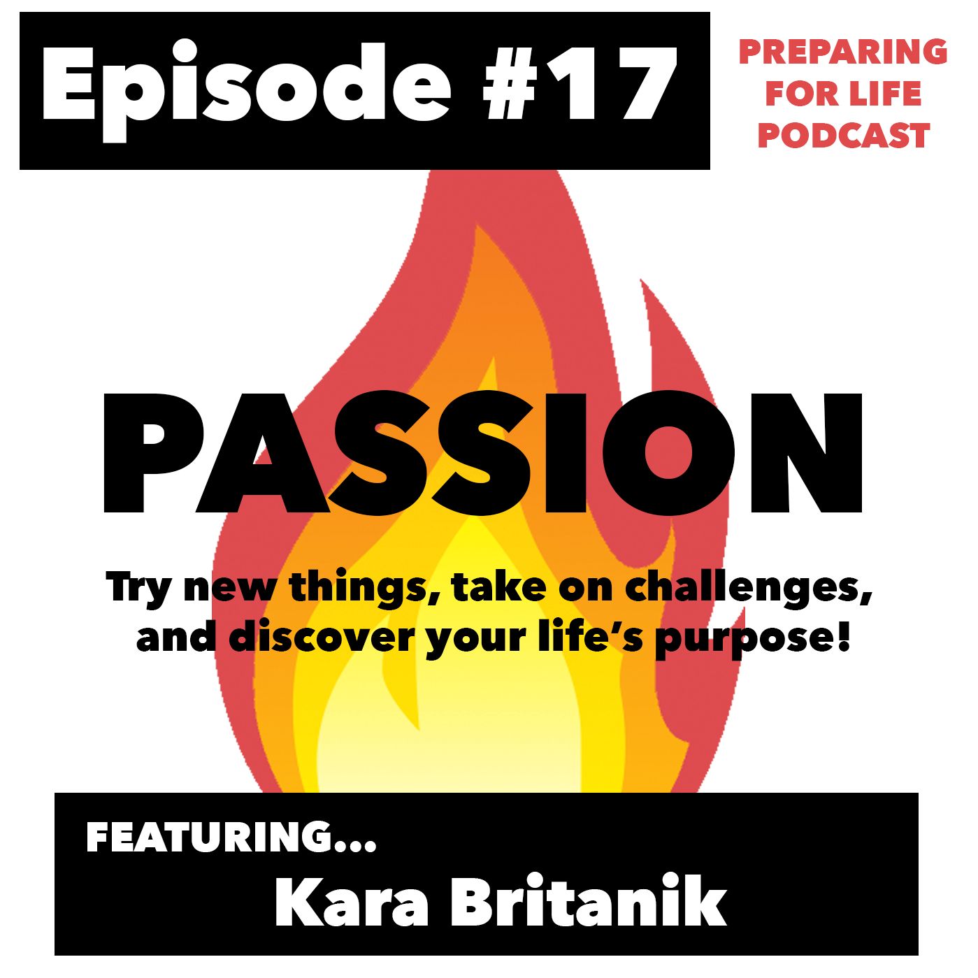 Episode #17 - Kara Britanik: Discovering Your Passion