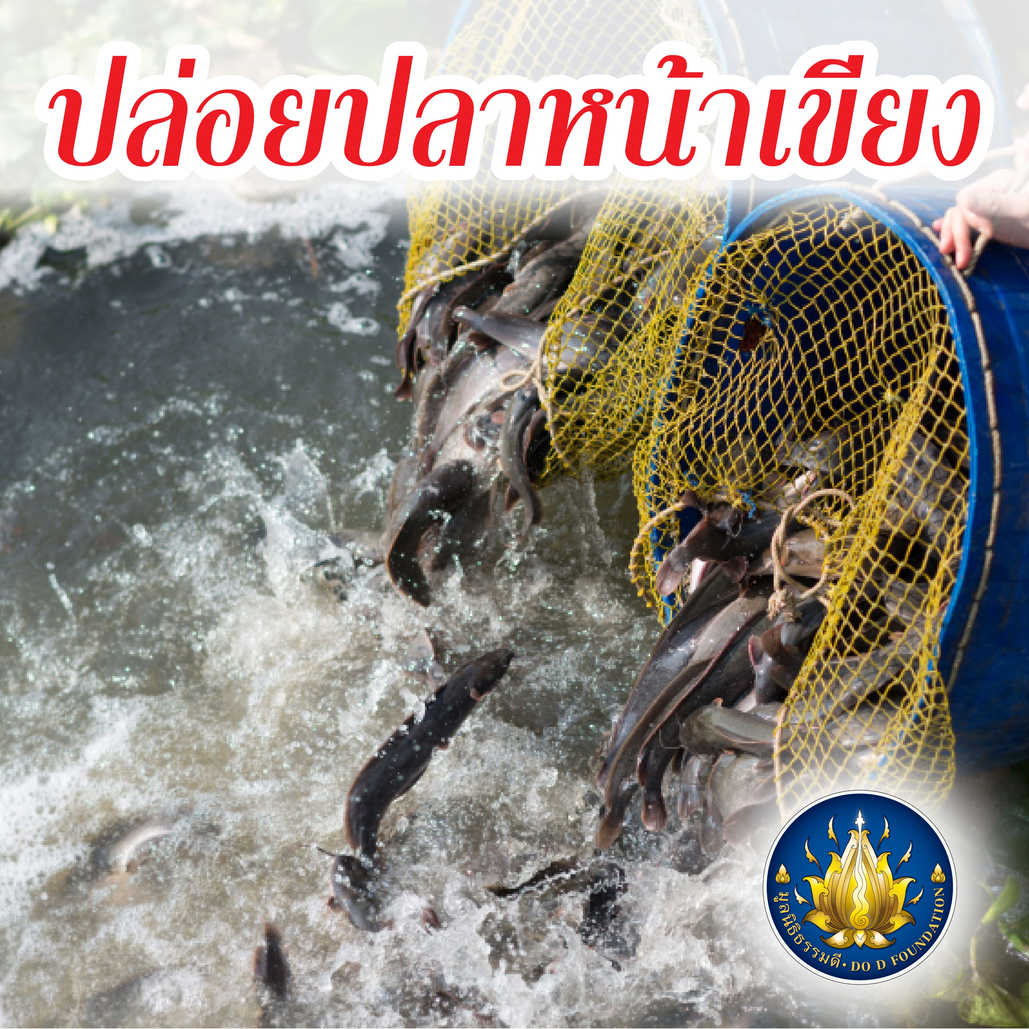 ปล่อยปลาหน้าเขียง ครั้งที่ 166 จำนวน 2,000 กิโล