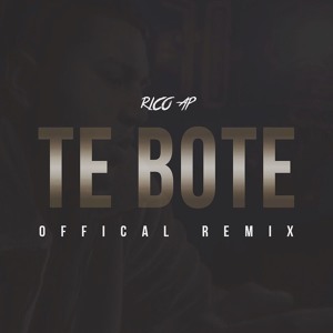 Te Bote Remix להורדה
