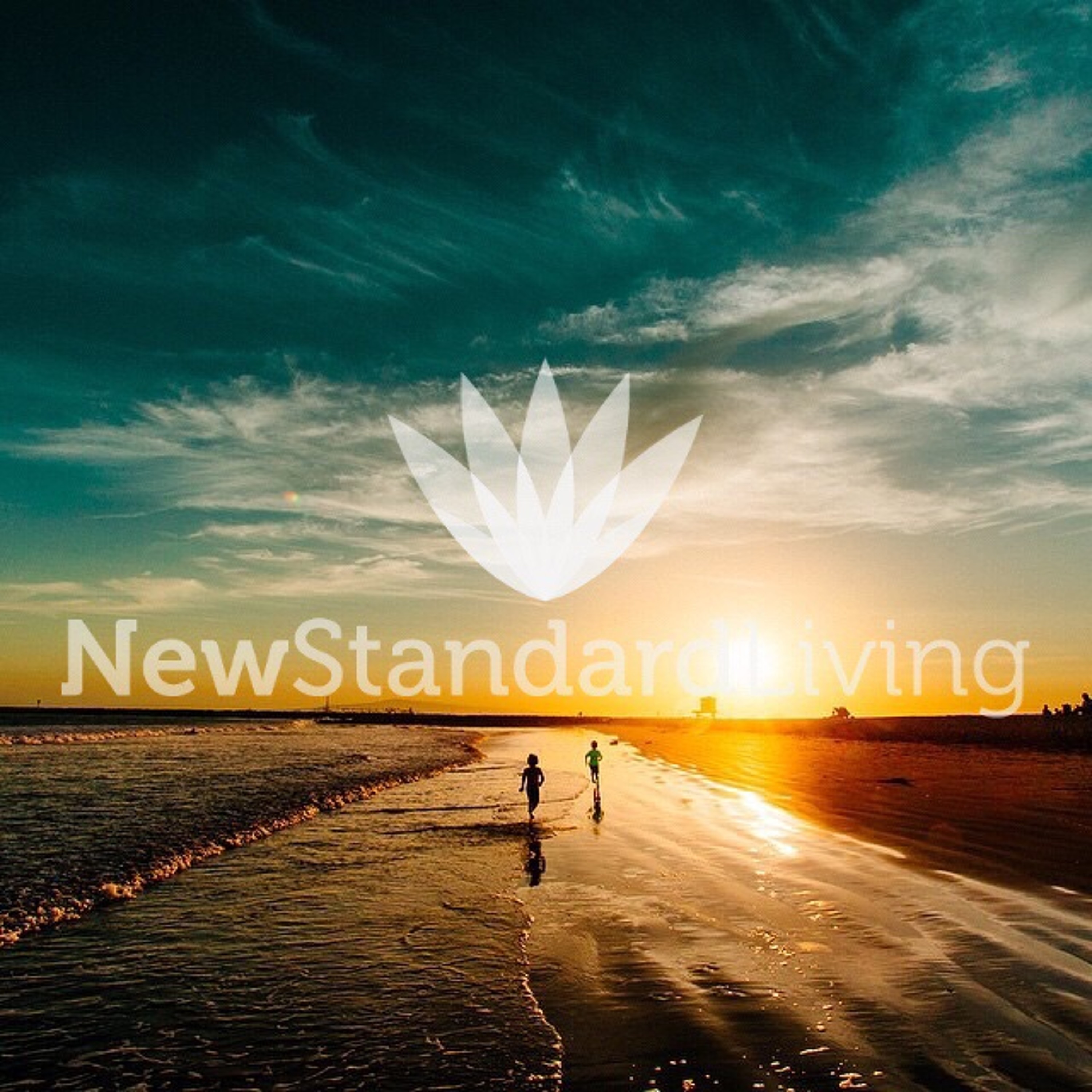 New Standard Living