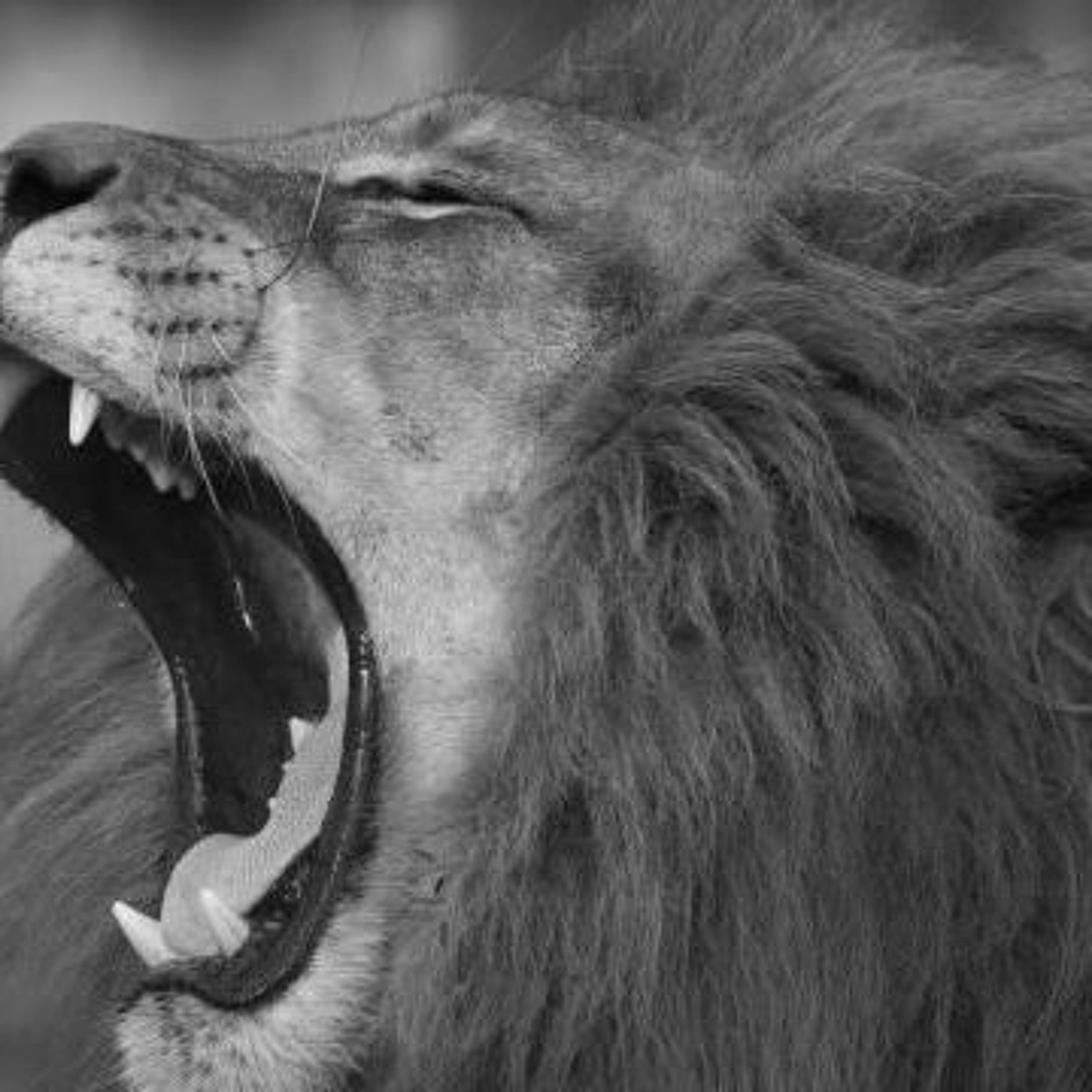 UITGELEZEN: ZKV (zeer korte verhalen)