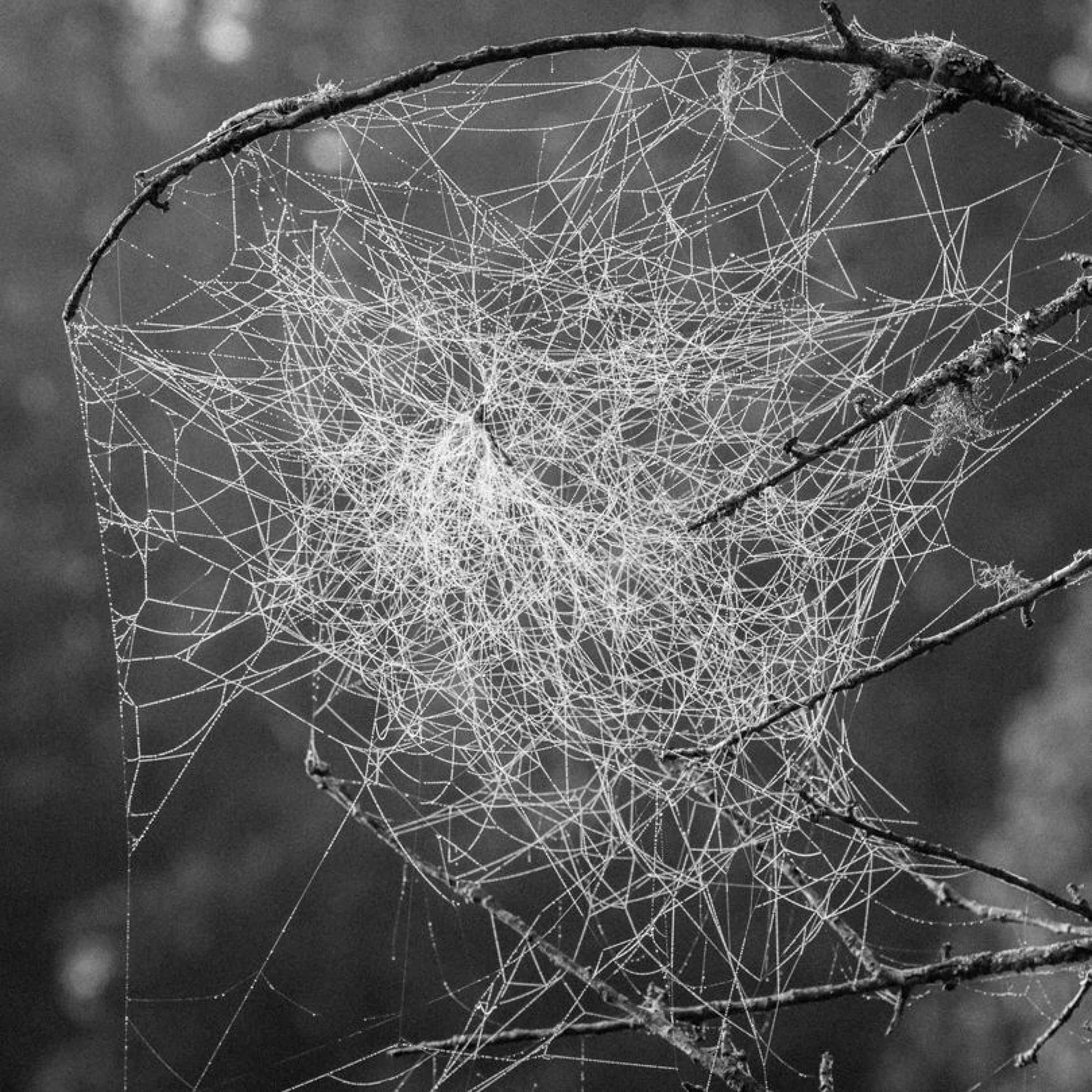 Catalyzing Coherence