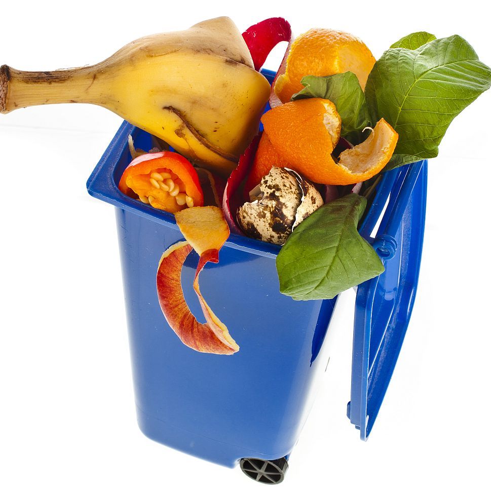 Food waste, food loss and the role of packaging