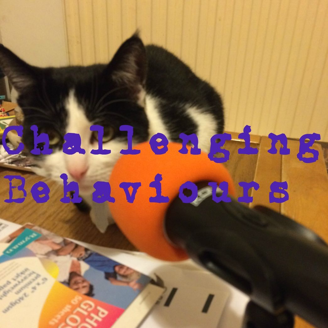 Episode 21 The Dyspraxia Hour II: The Final 25 Minutes