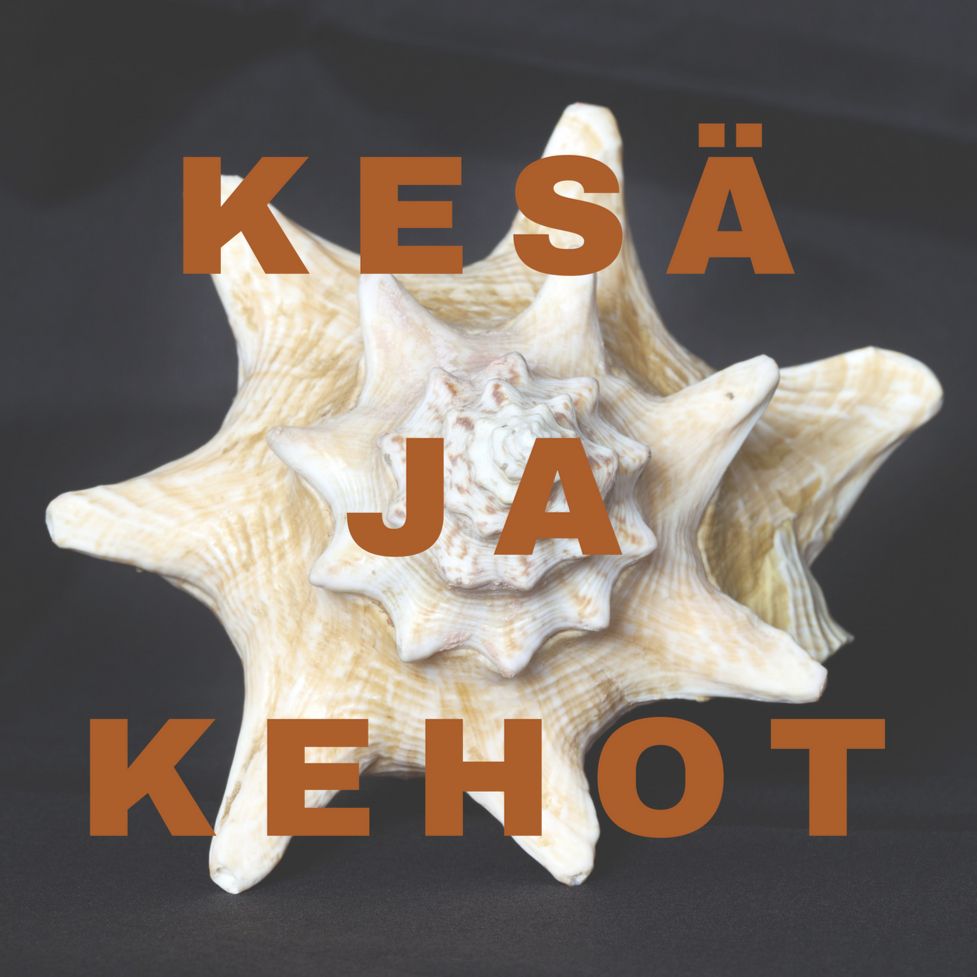 Jakso 2: Kesä ja kehot