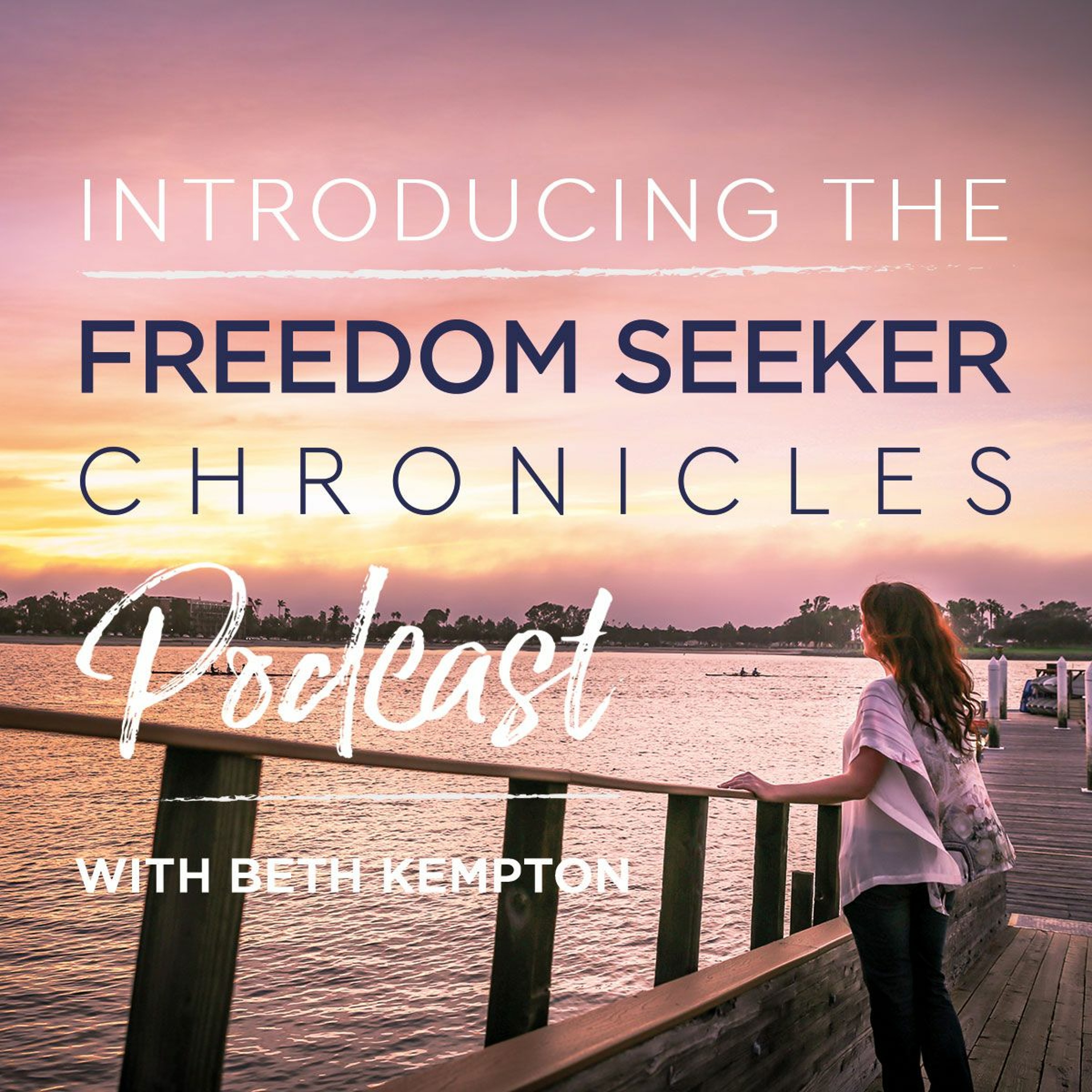 Freedom Seeker Chronicles