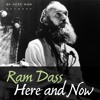 Ram Dass - Here and Now - Ep. 130 - The Spiritual Path