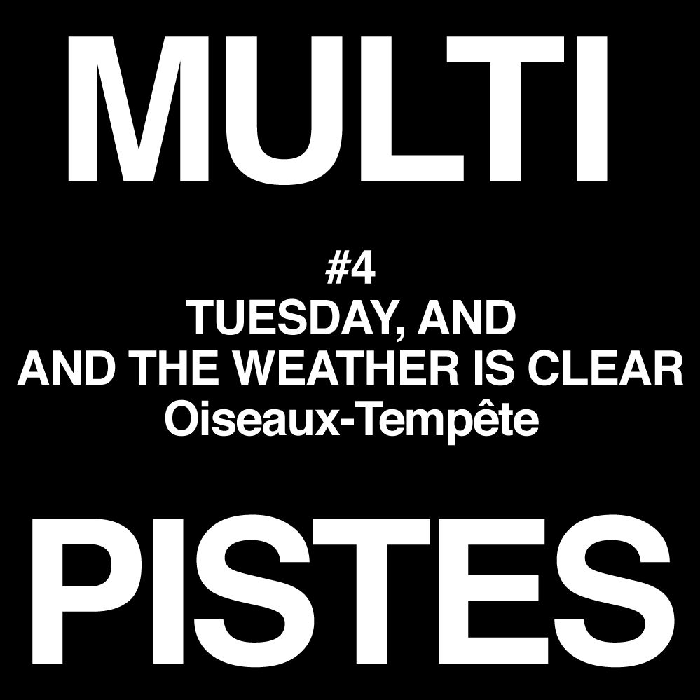 #4 TUESDAY, AND THE WEATHER IS CLEAR - Oiseaux-Tempête