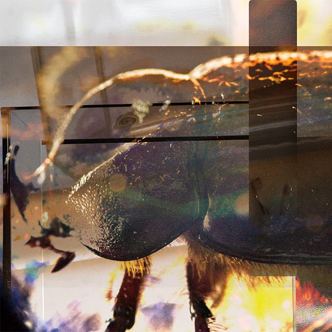 TheSoundofEscarbépico TheSoundofEscarbépico