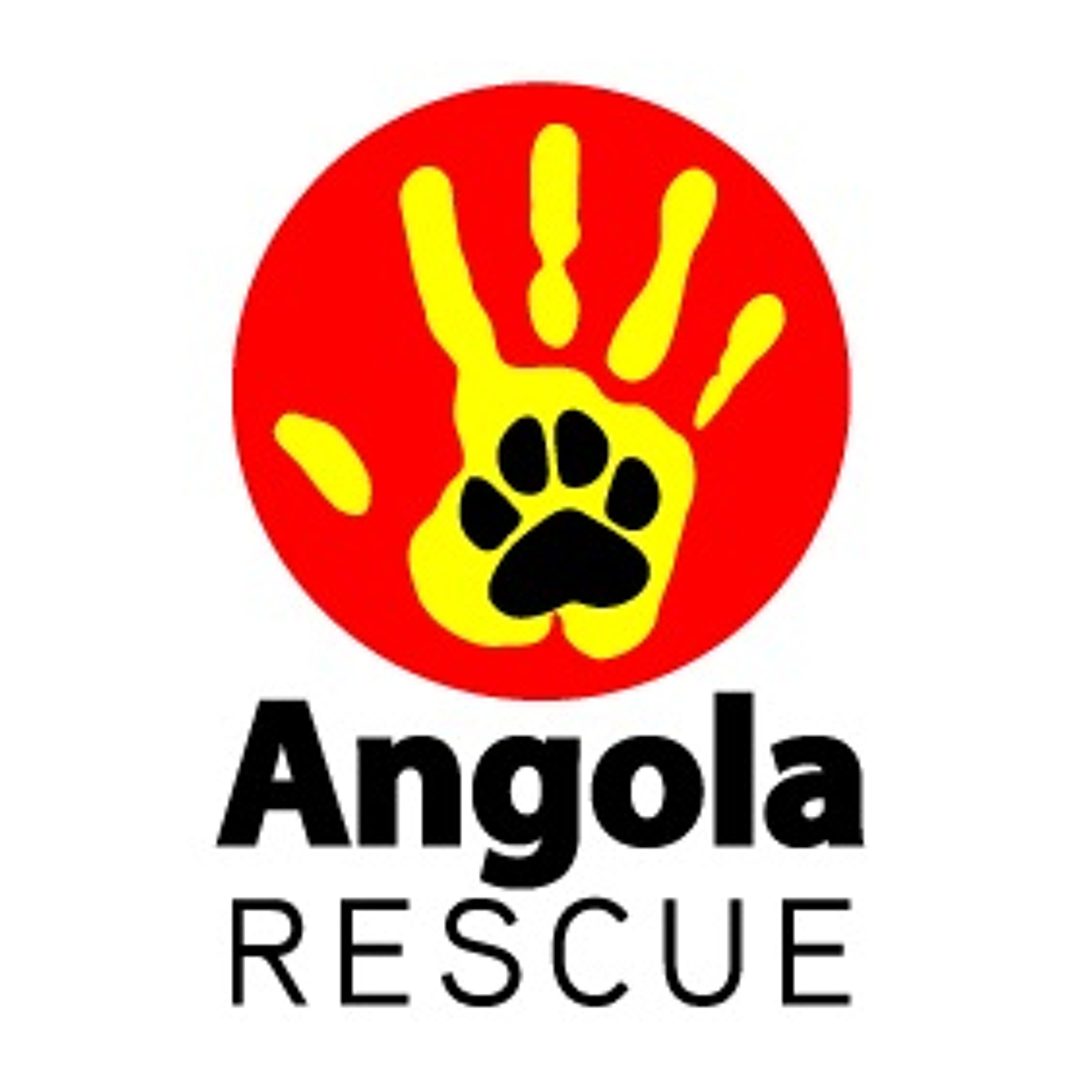 Reportagem #11: Associação Angola Rescue