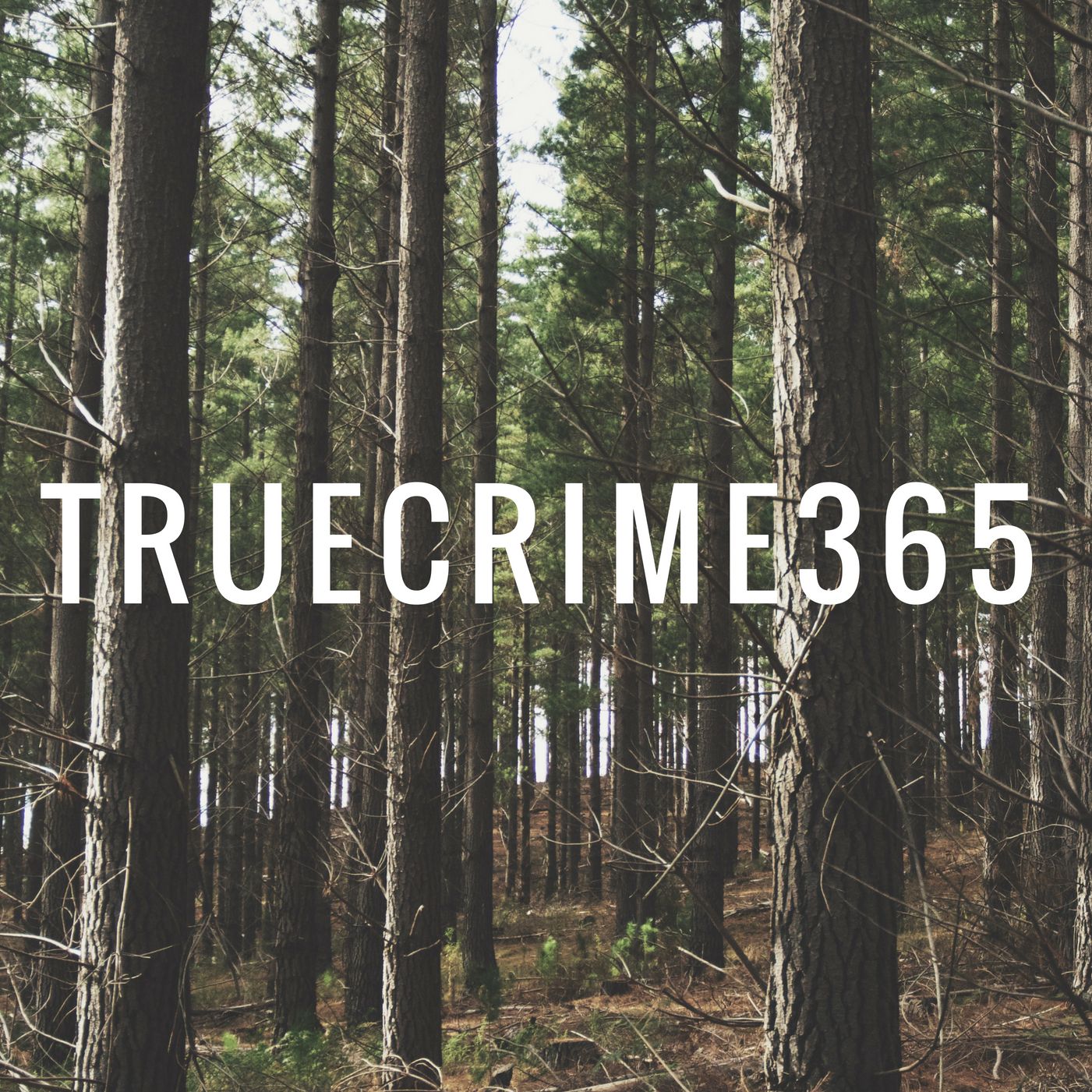 An Introduction To TrueCrime365