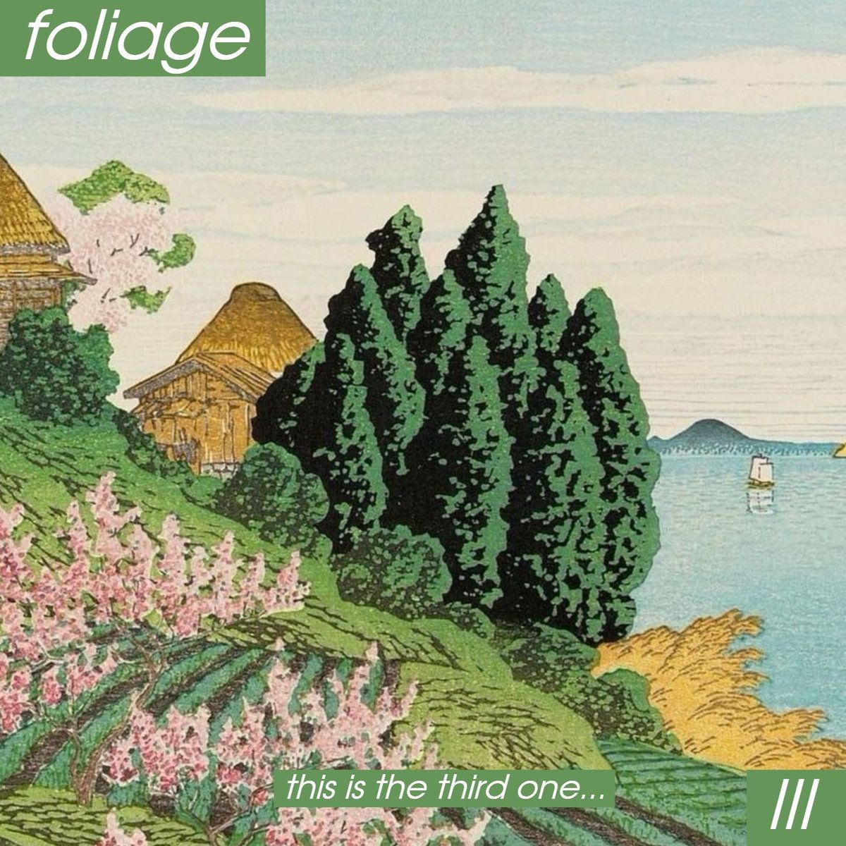 Episode 50: Foliage Interview