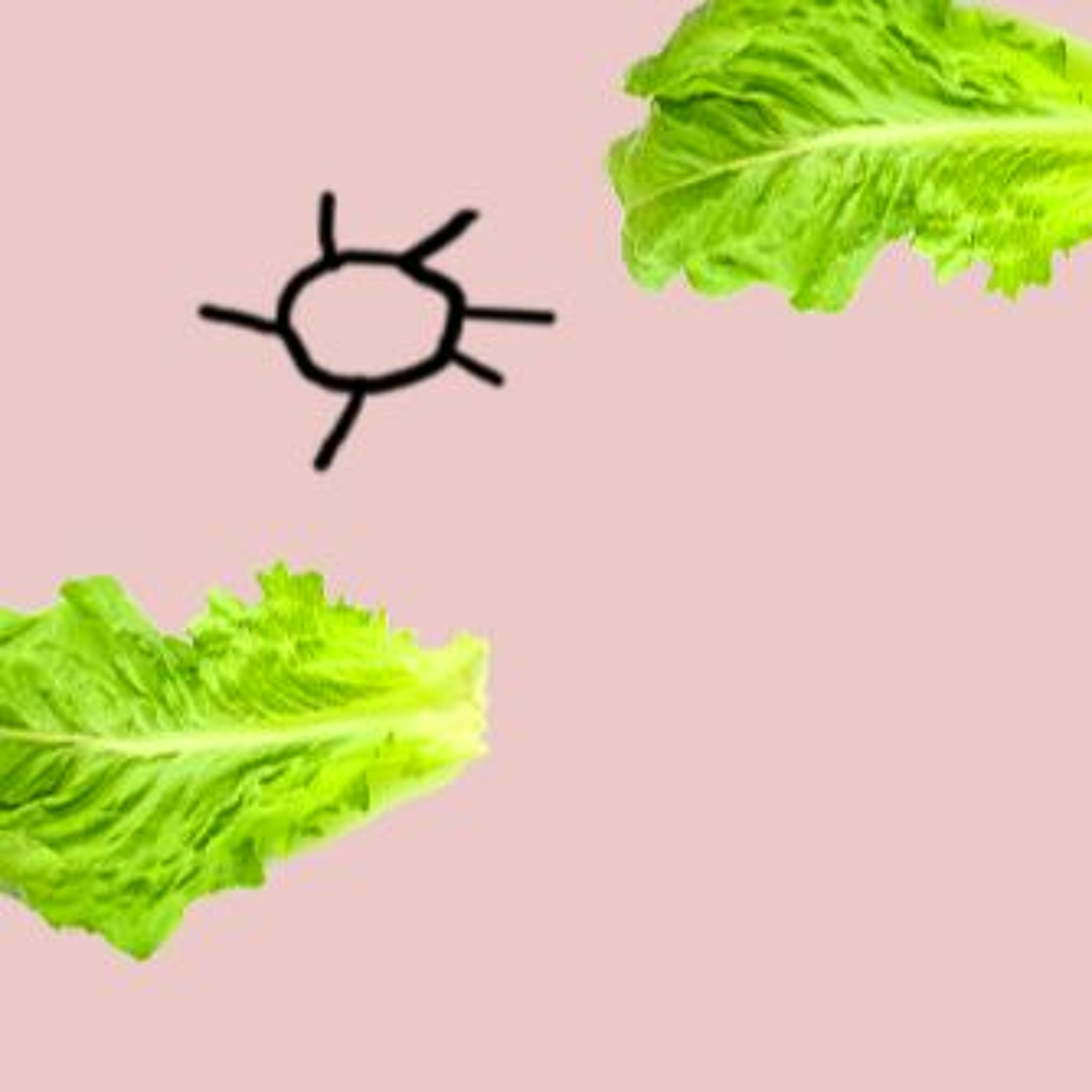 Podcast J\'ai Faim