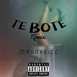Te Bote (Remix) להורדה