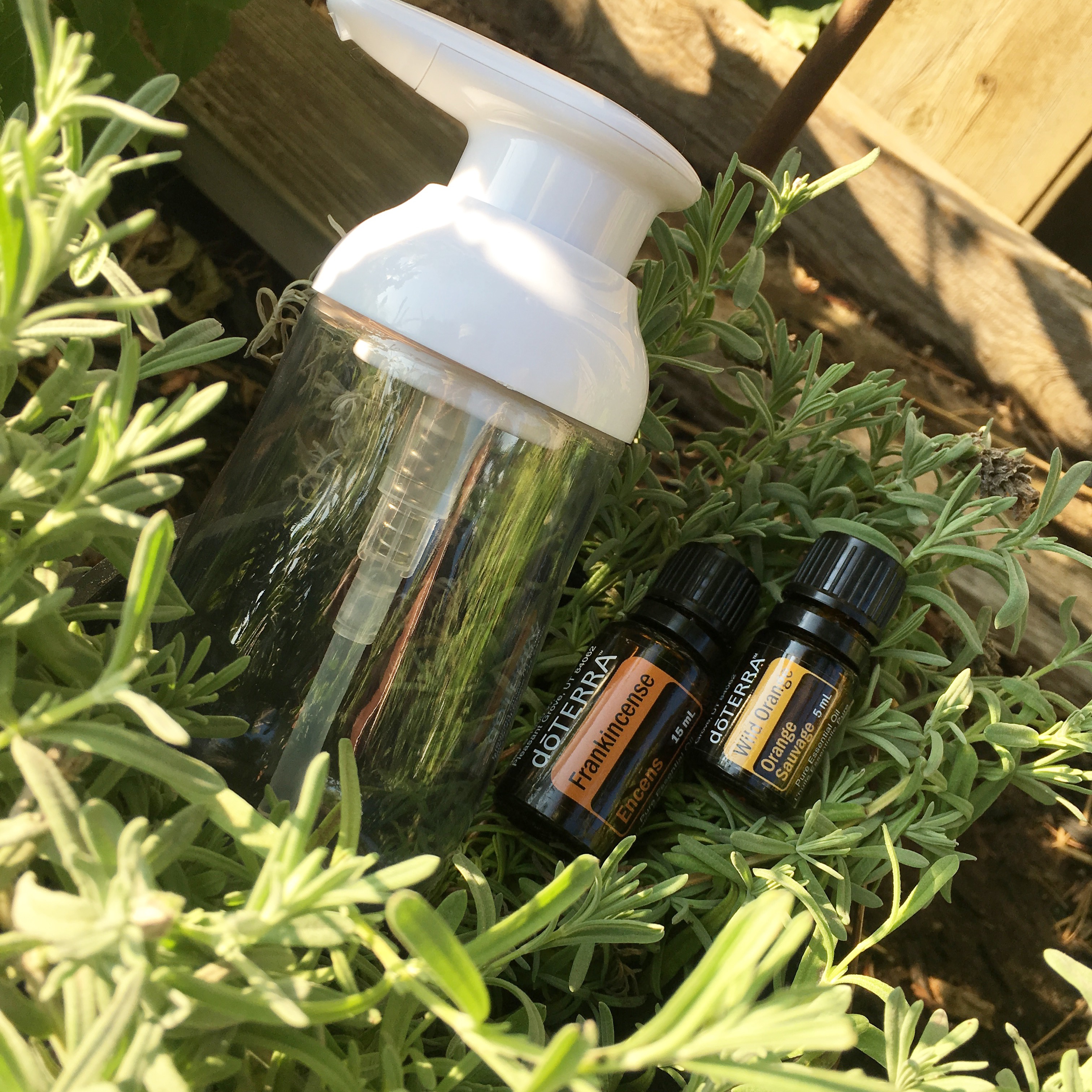 Episode 1: Learning About Essential Oils