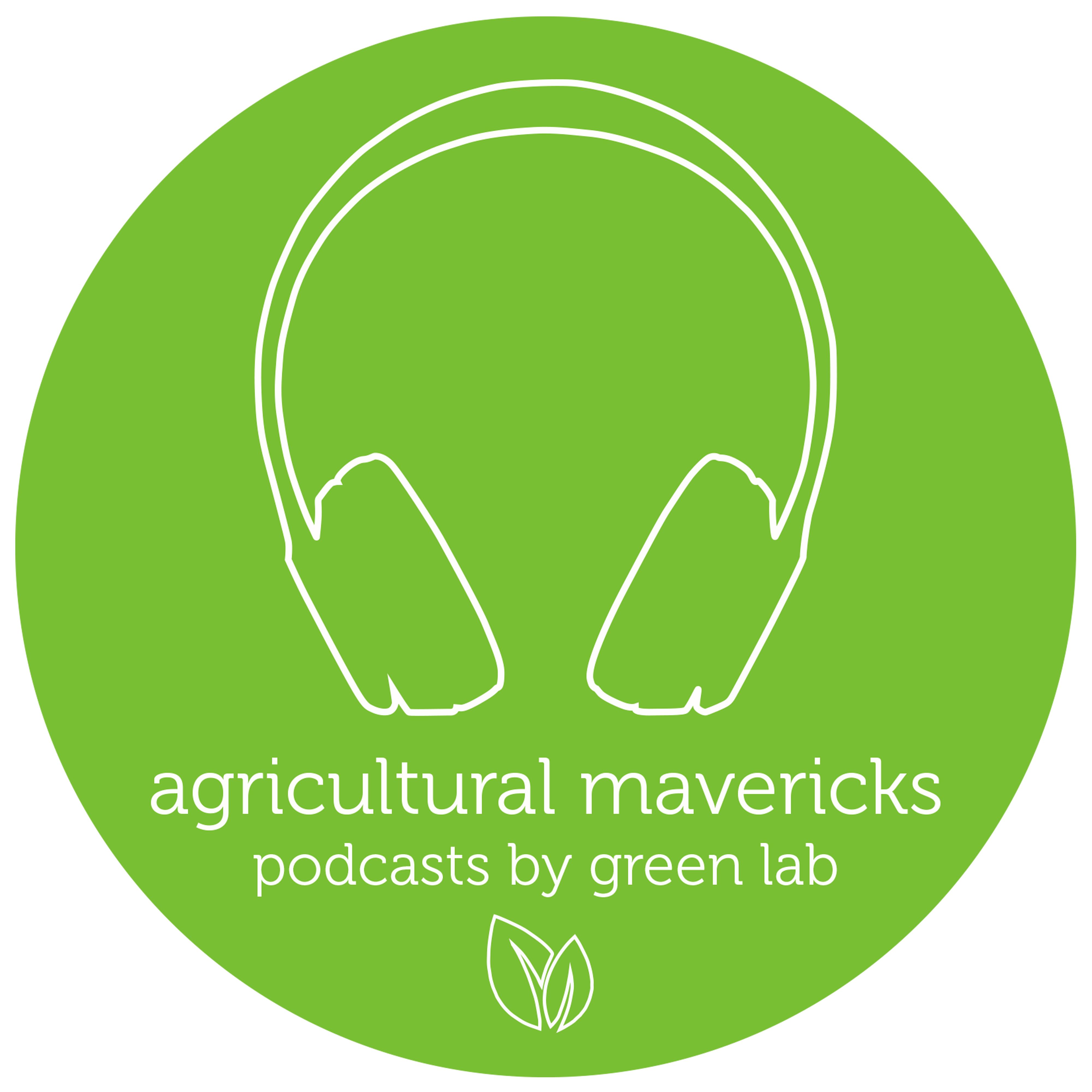 Interview with Tom Harfleet, Head of Horticulture at Seedlip