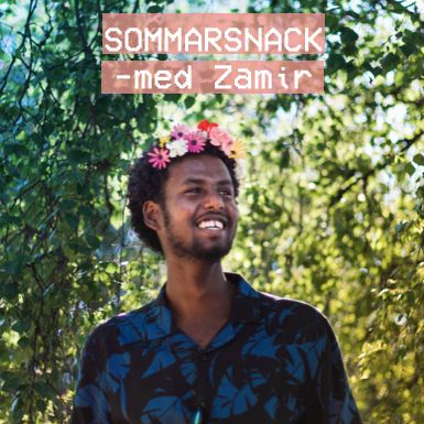 Sommarsnack med Zamir - "Din svenskhet ska inte bli hotad bara för att du gör ett misstag"