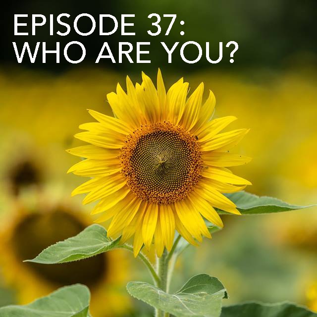 Episode 37: Who Are You?