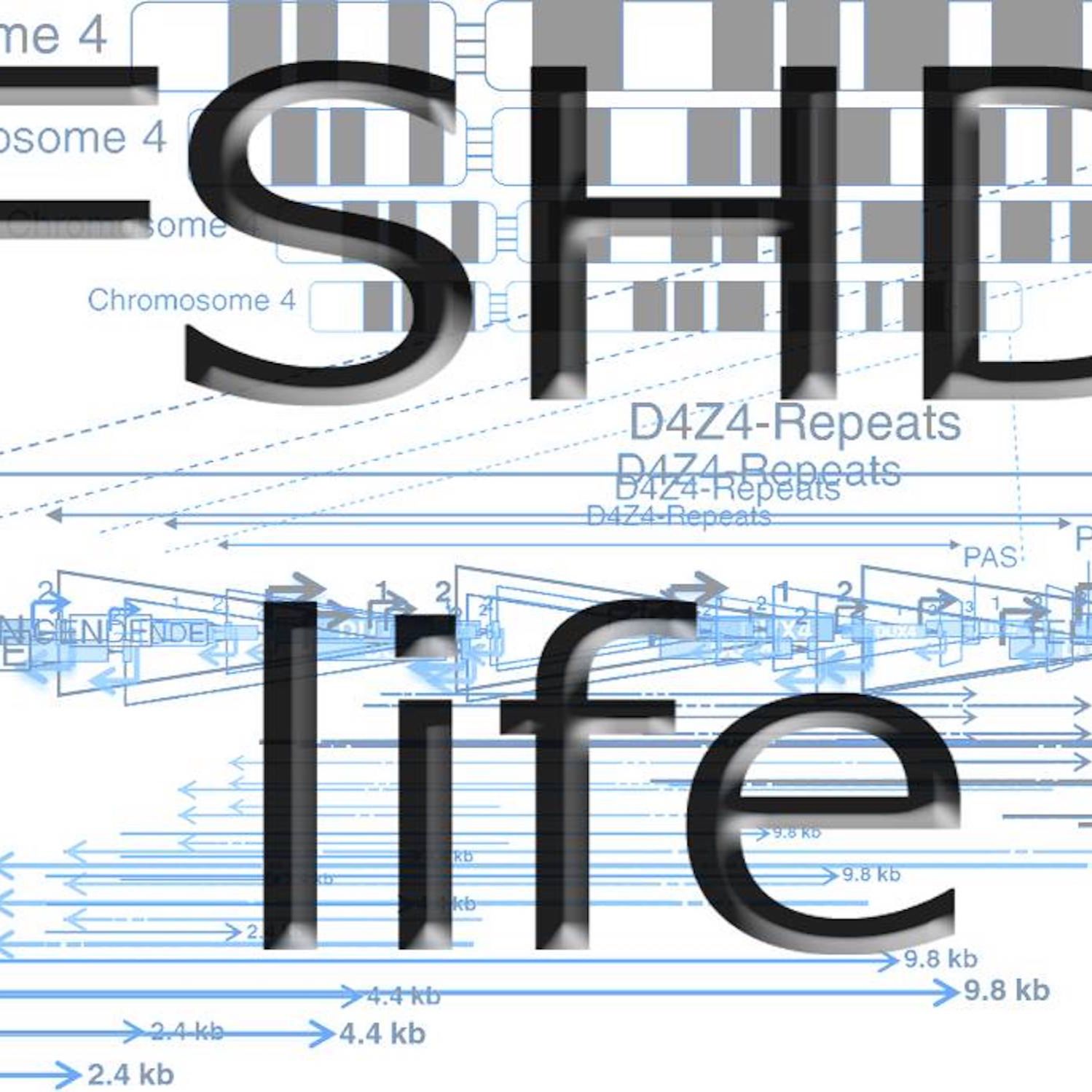 3.Folge FSHD-Vernetzung in Europa