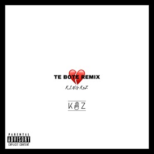Te Bote Remix להורדה