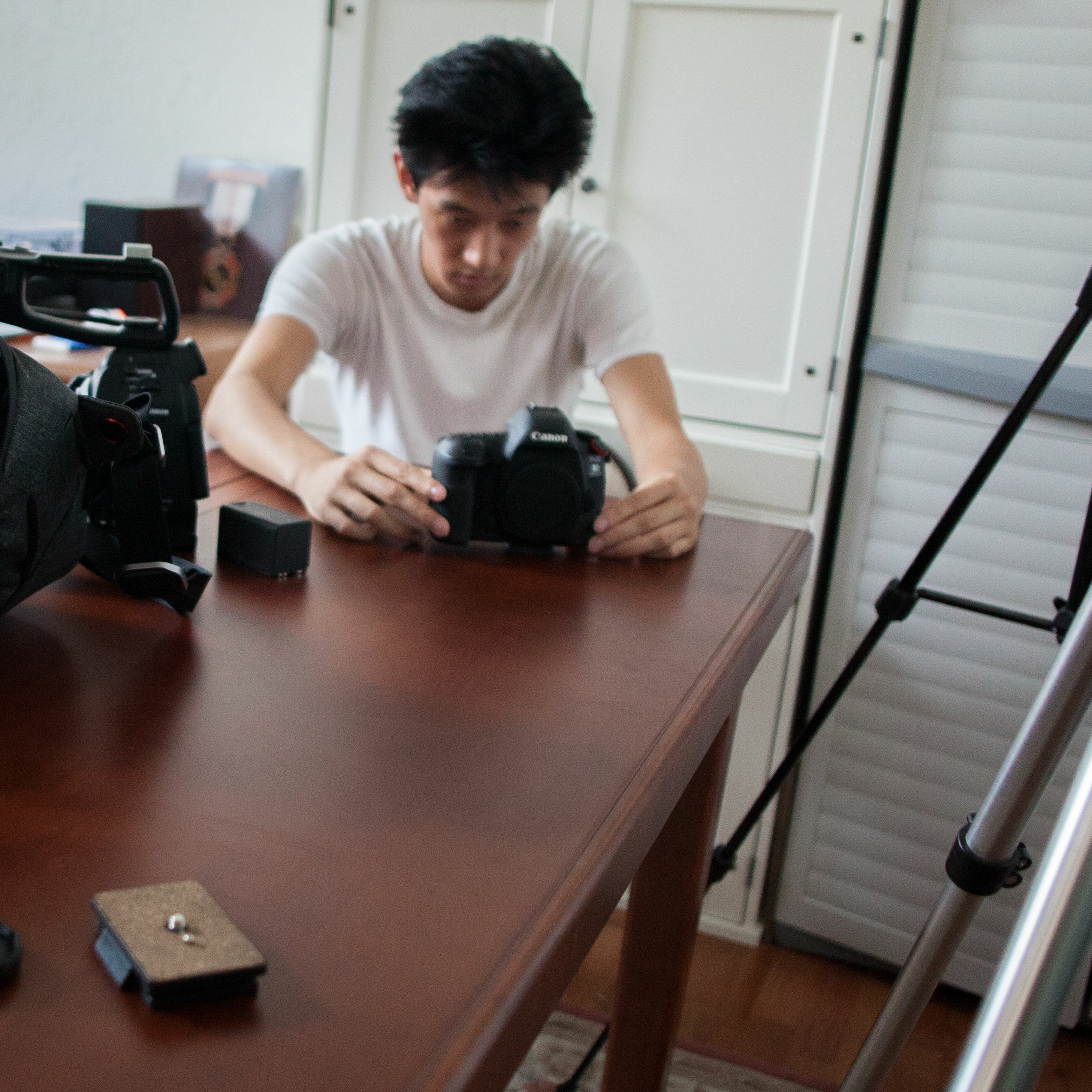 alightedCasts
