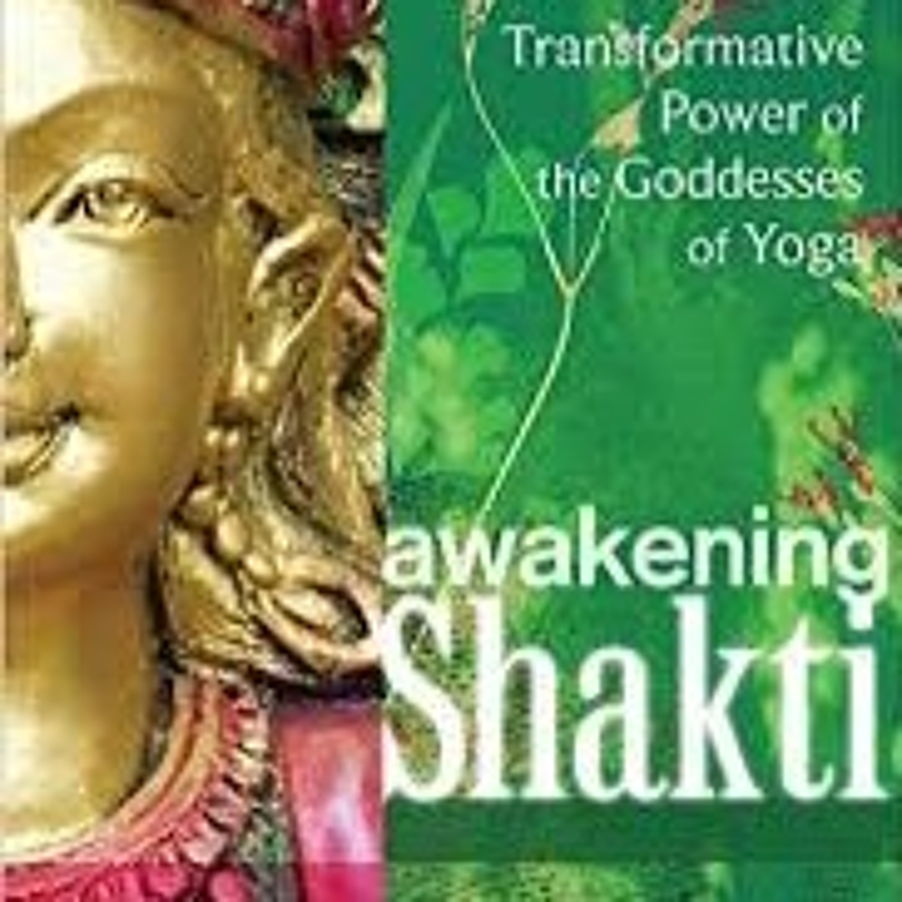 A Spiritual Guide to Politics