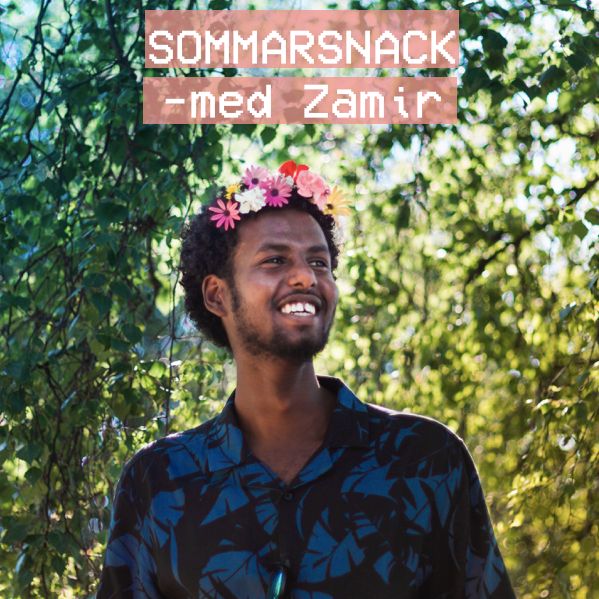 Sommarsnack med Zamir - "Det finns ingen ordning på vem som lyckas, så det är bara köra"