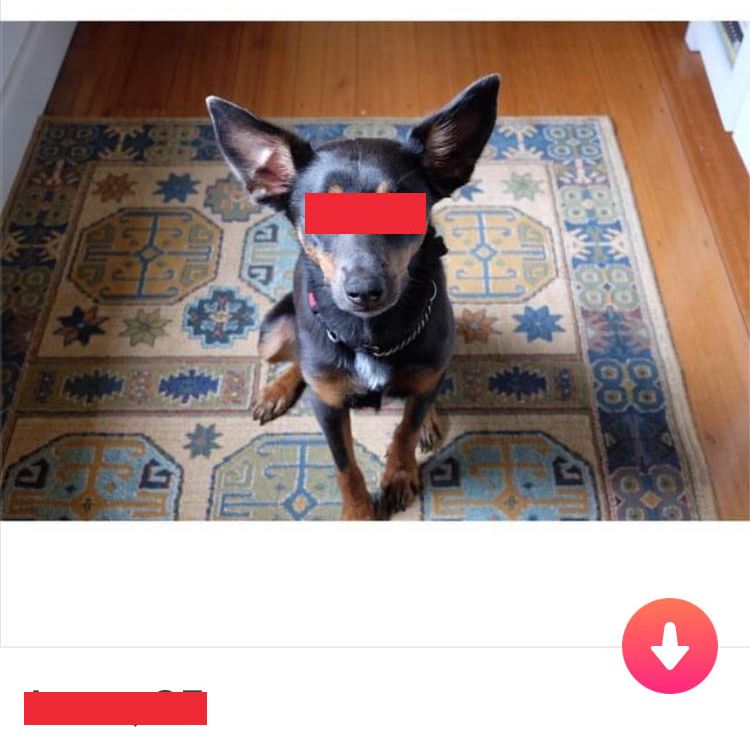 How to lose a guy in 5 minutes