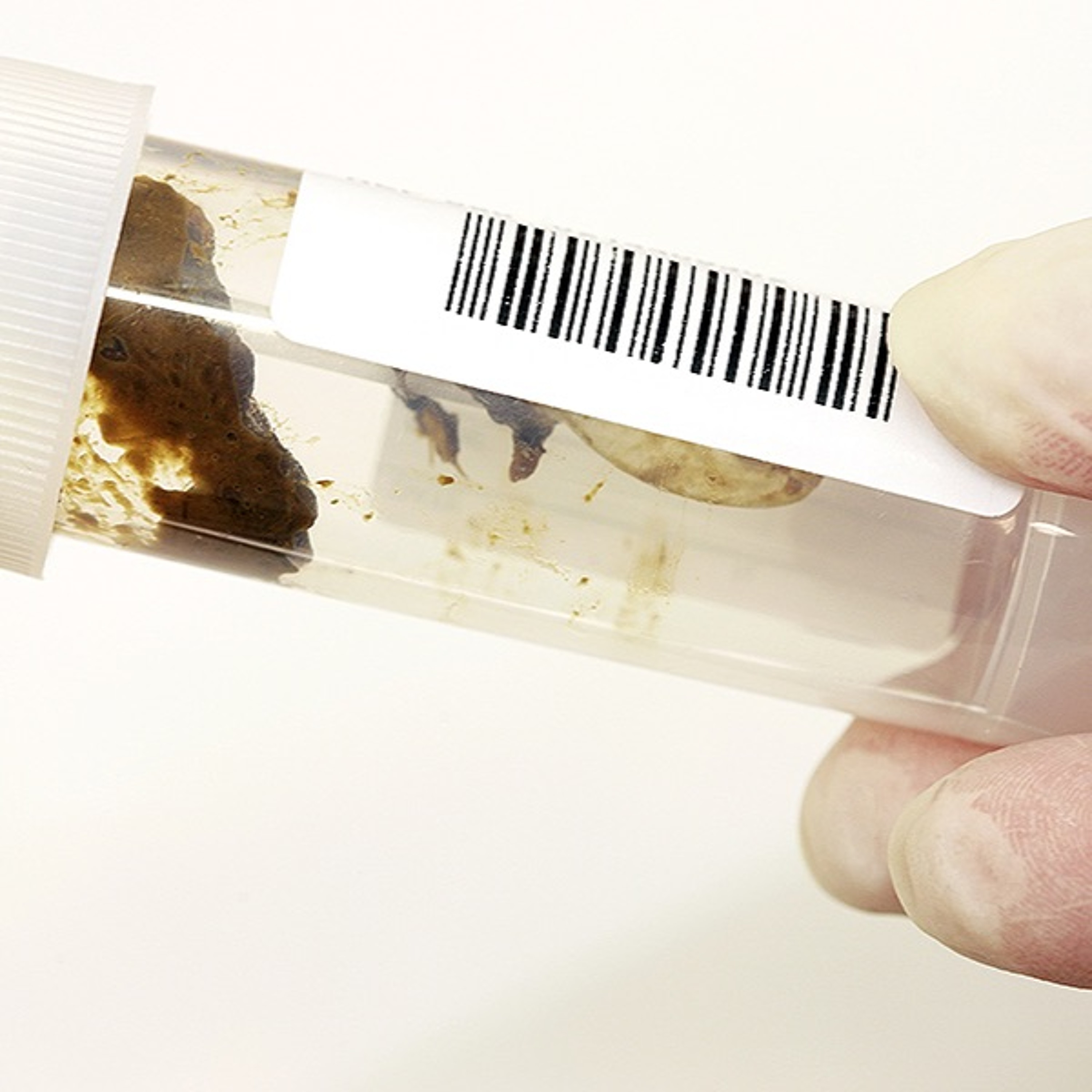 Health Science (For the Rest of Us!)