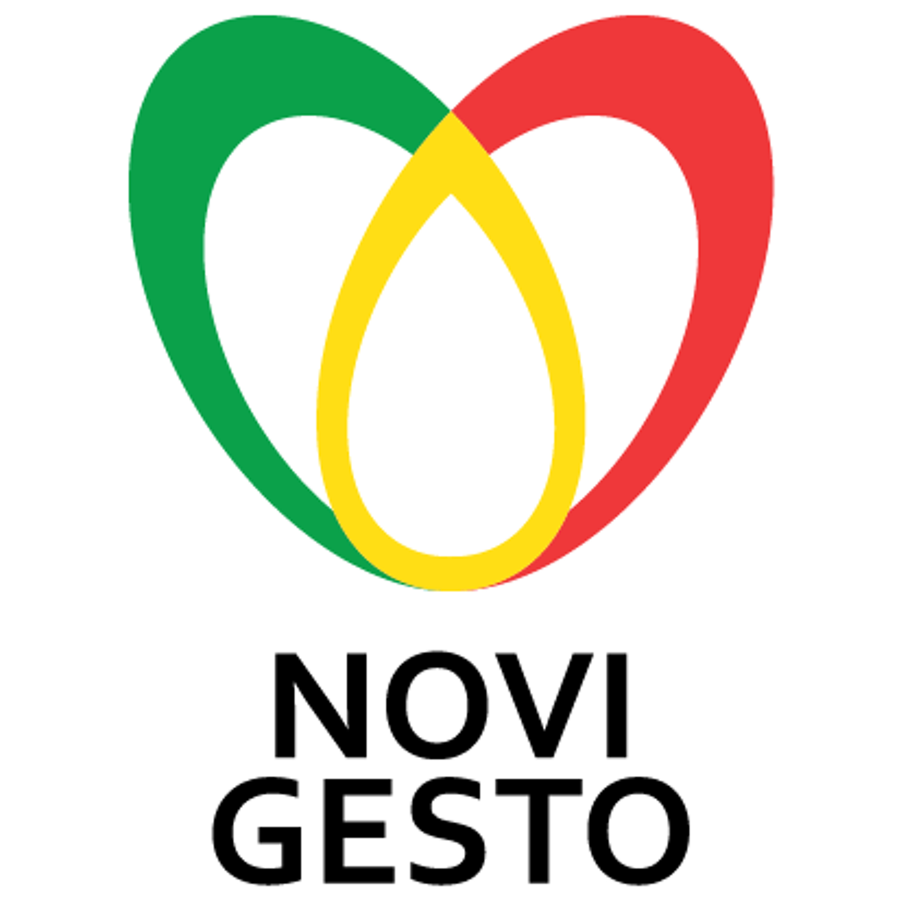 Novigesto