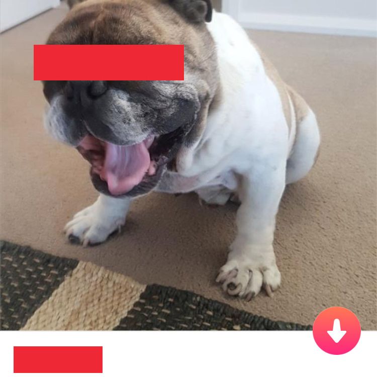 Still as single as ever