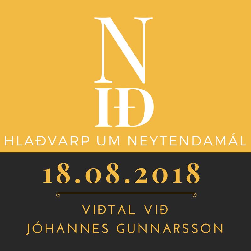 N-ið: Jóhannes Gunnarsson